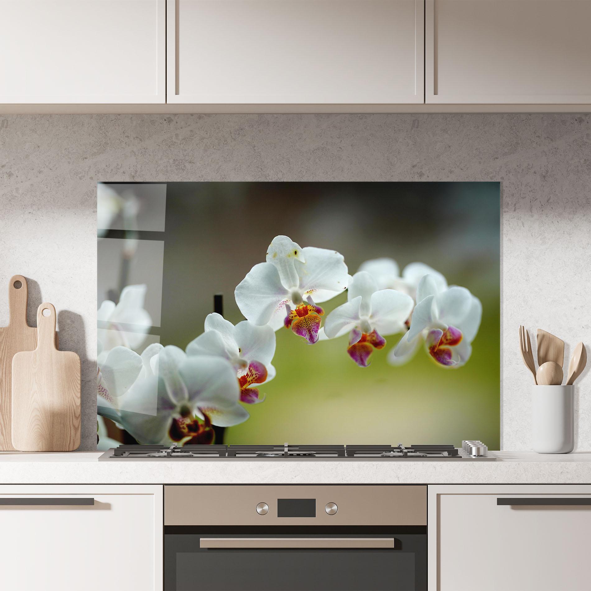 Küchenrückwand Glas Pretty Orchid In Nature mockup 7