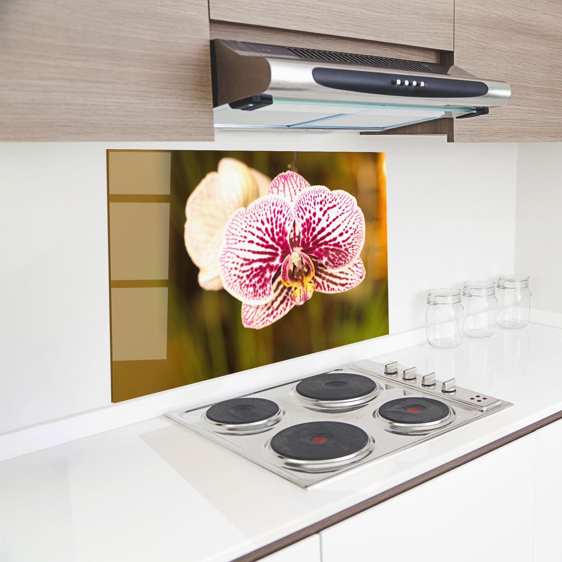 Küchenrückwand Glas Garden Orchids mockup 8