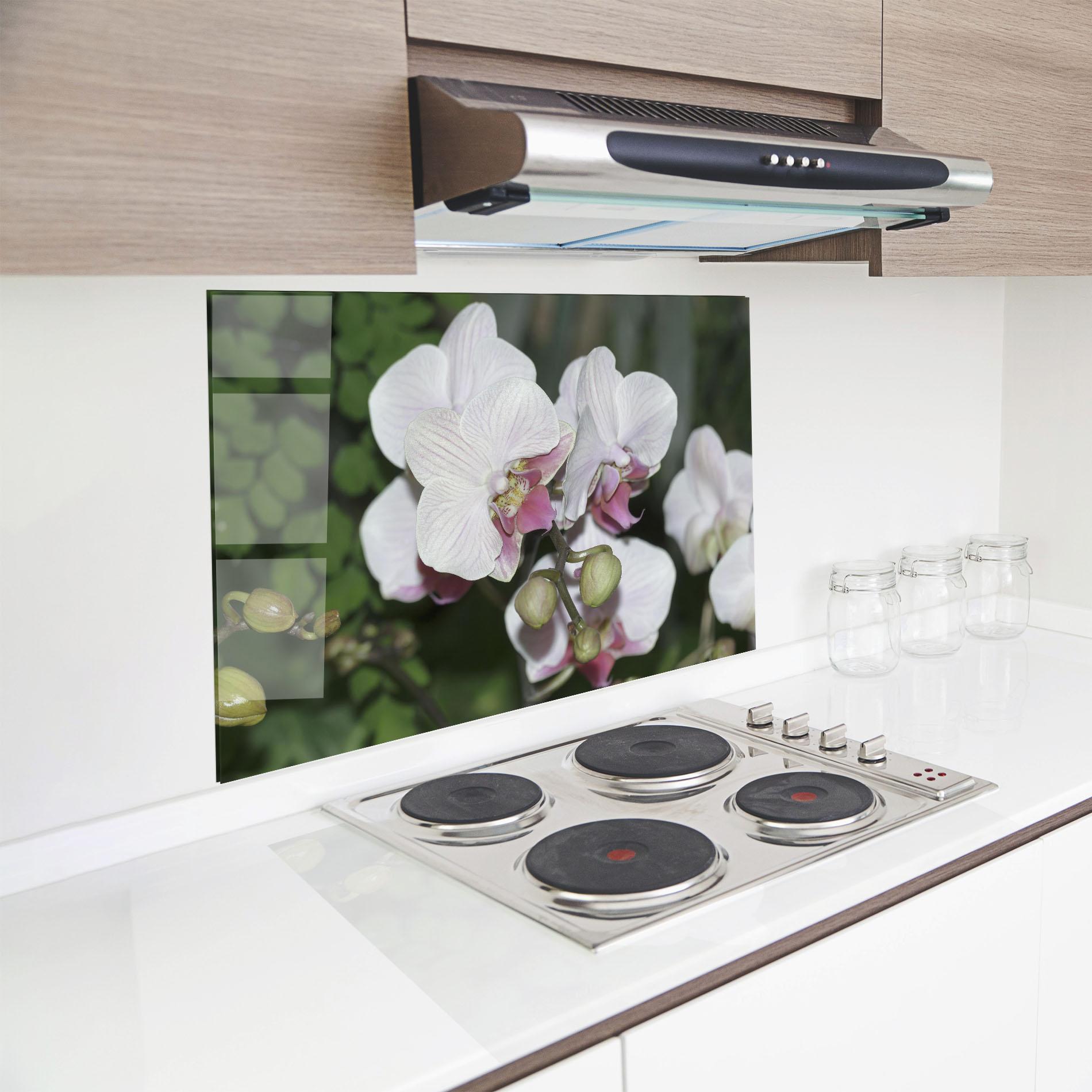 Küchenrückwand Glas Orchid Botanical Garden mockup 8