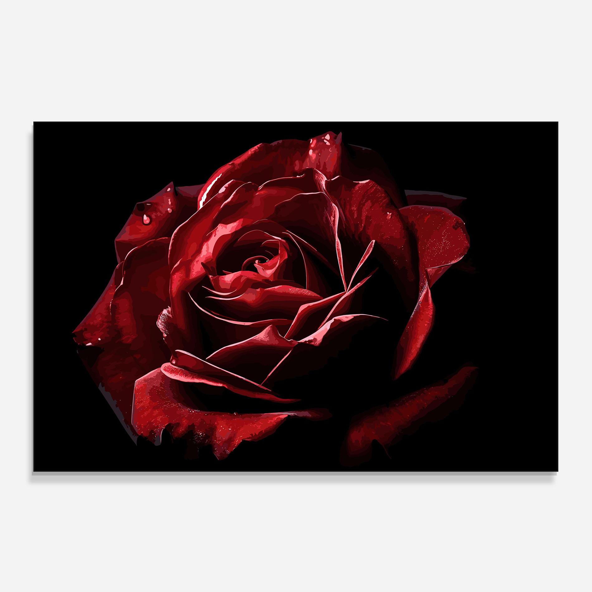 Küchenrückwand Glas Big Red Rose mockup 0