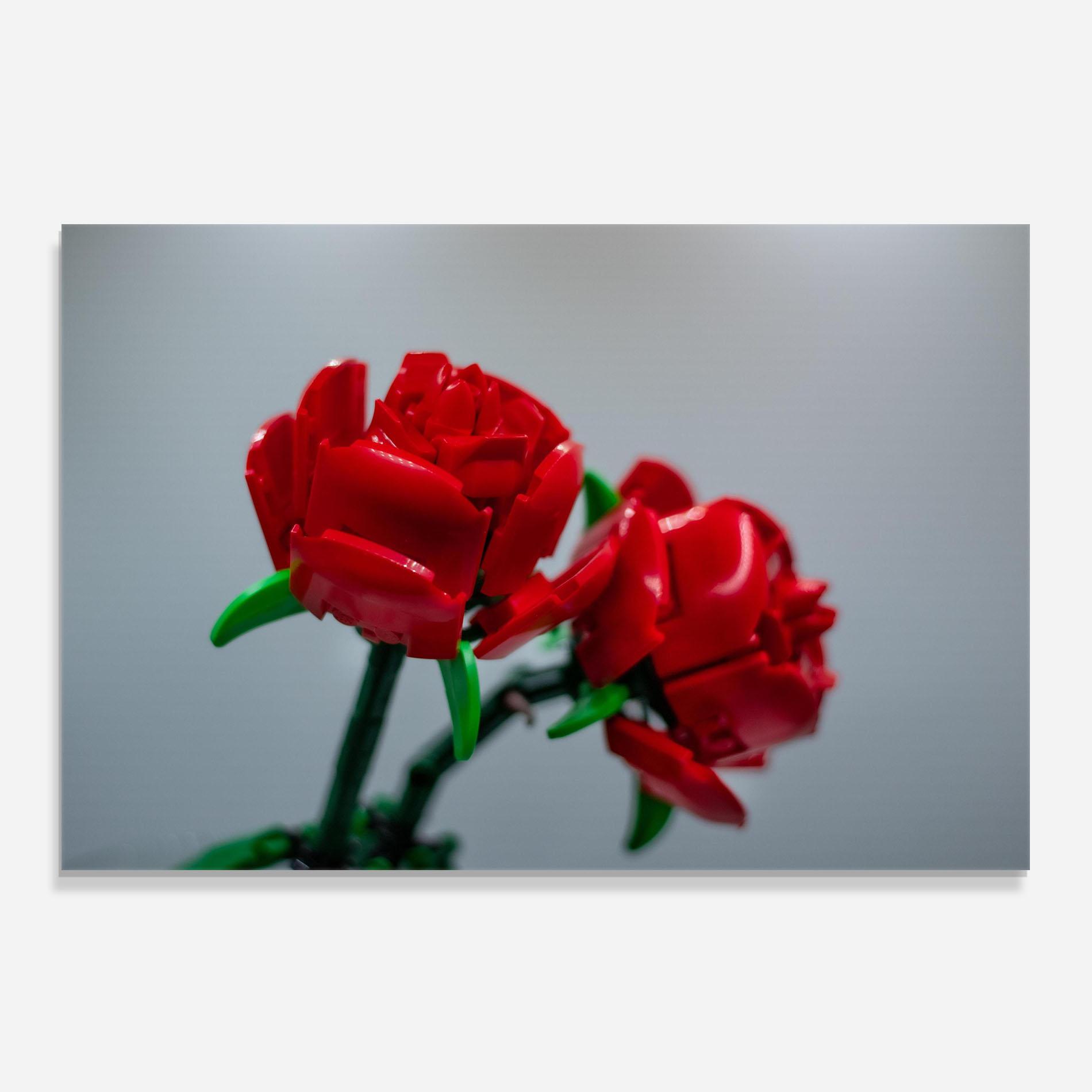 Küchenrückwand Glas Lego Red Roses mockup 0