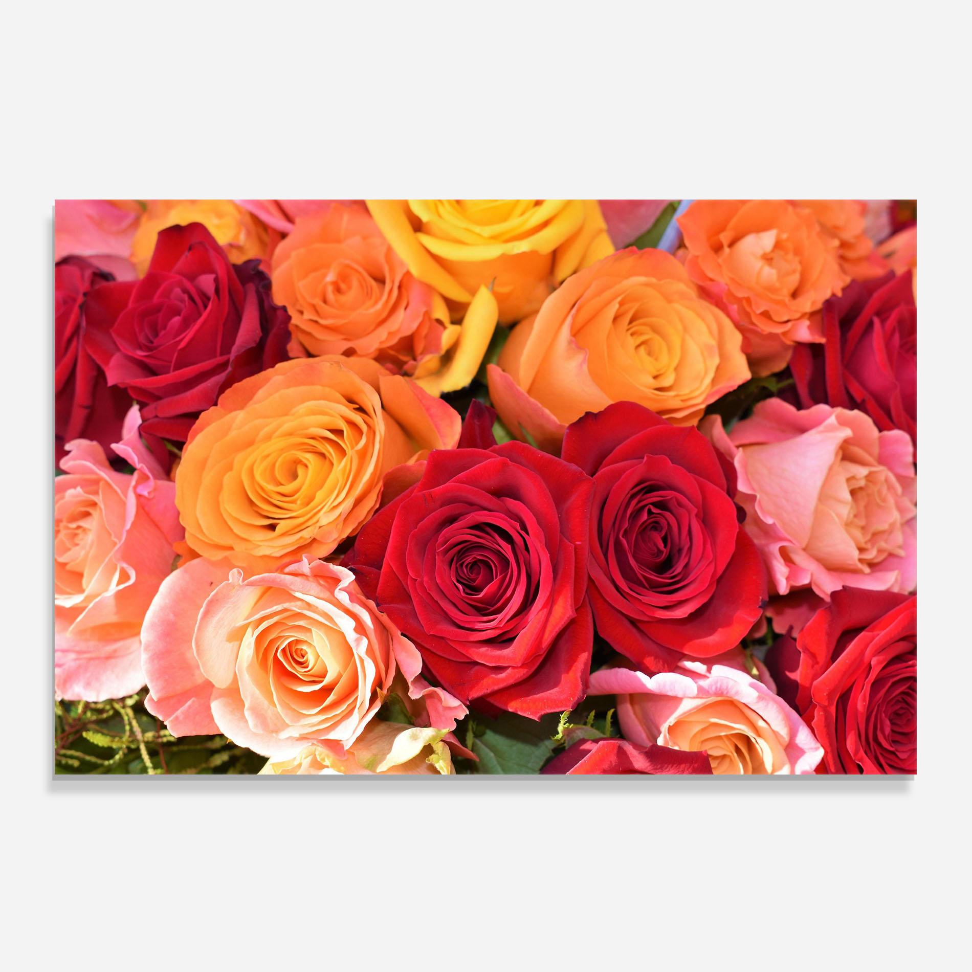 Küchenrückwand Glas Mixed Roses mockup 0