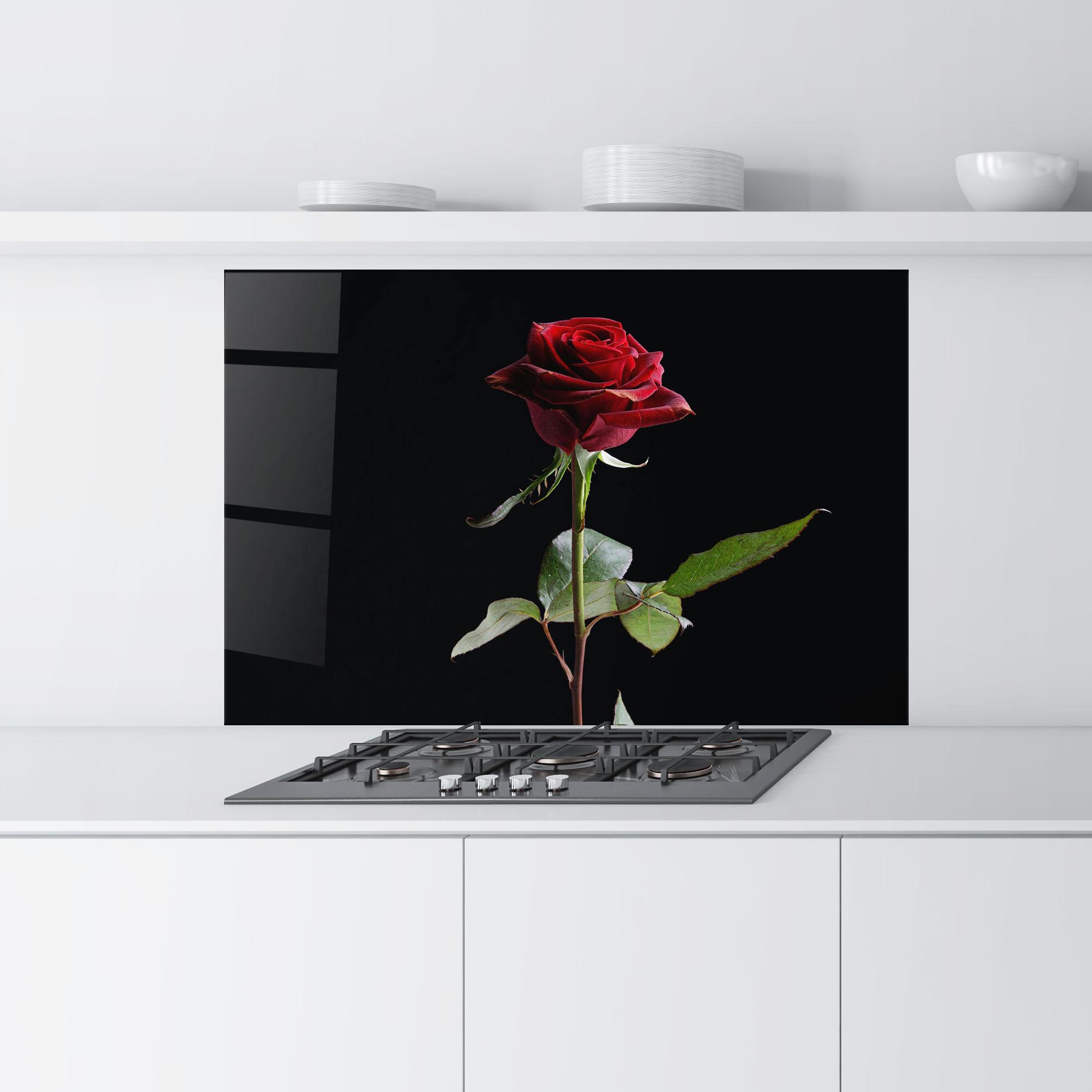 Küchenrückwand Glas Beautiful Red Rose mockup 9