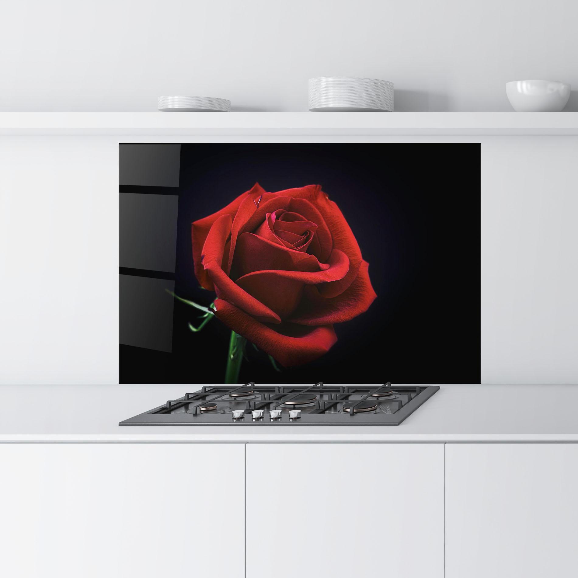 Küchenrückwand Glas Red Rose Close Up mockup 9