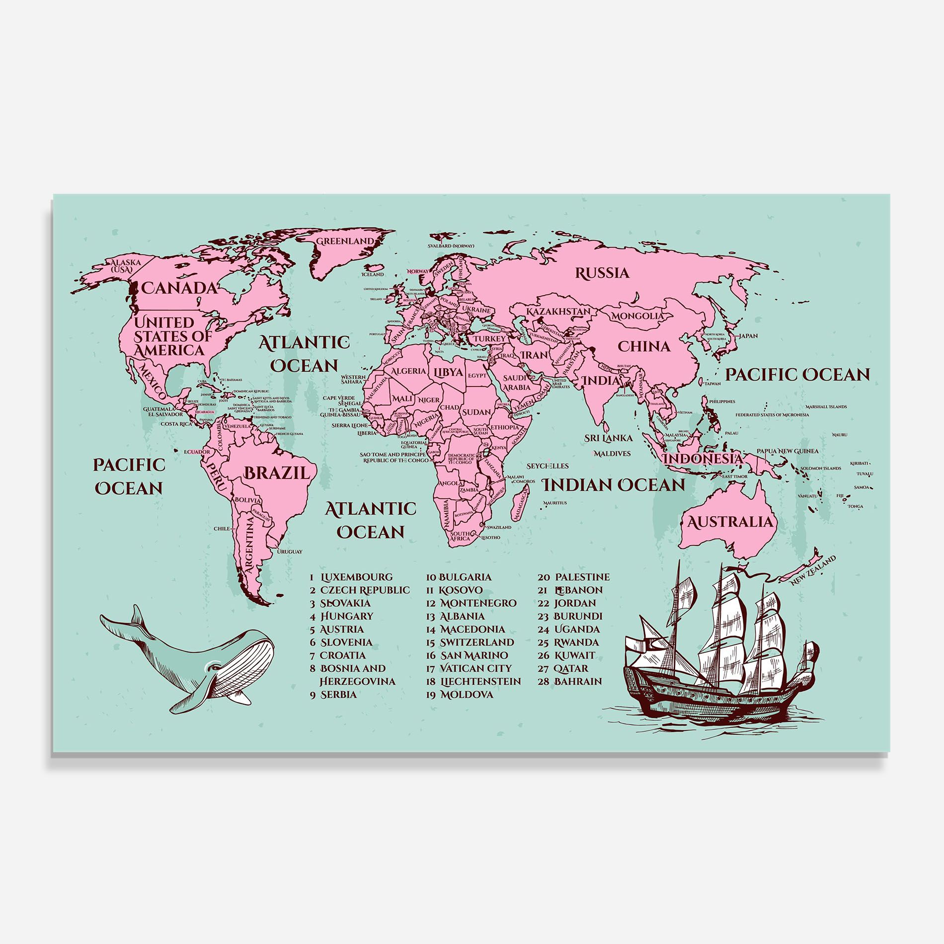 Pink Pirate Map mockup 0