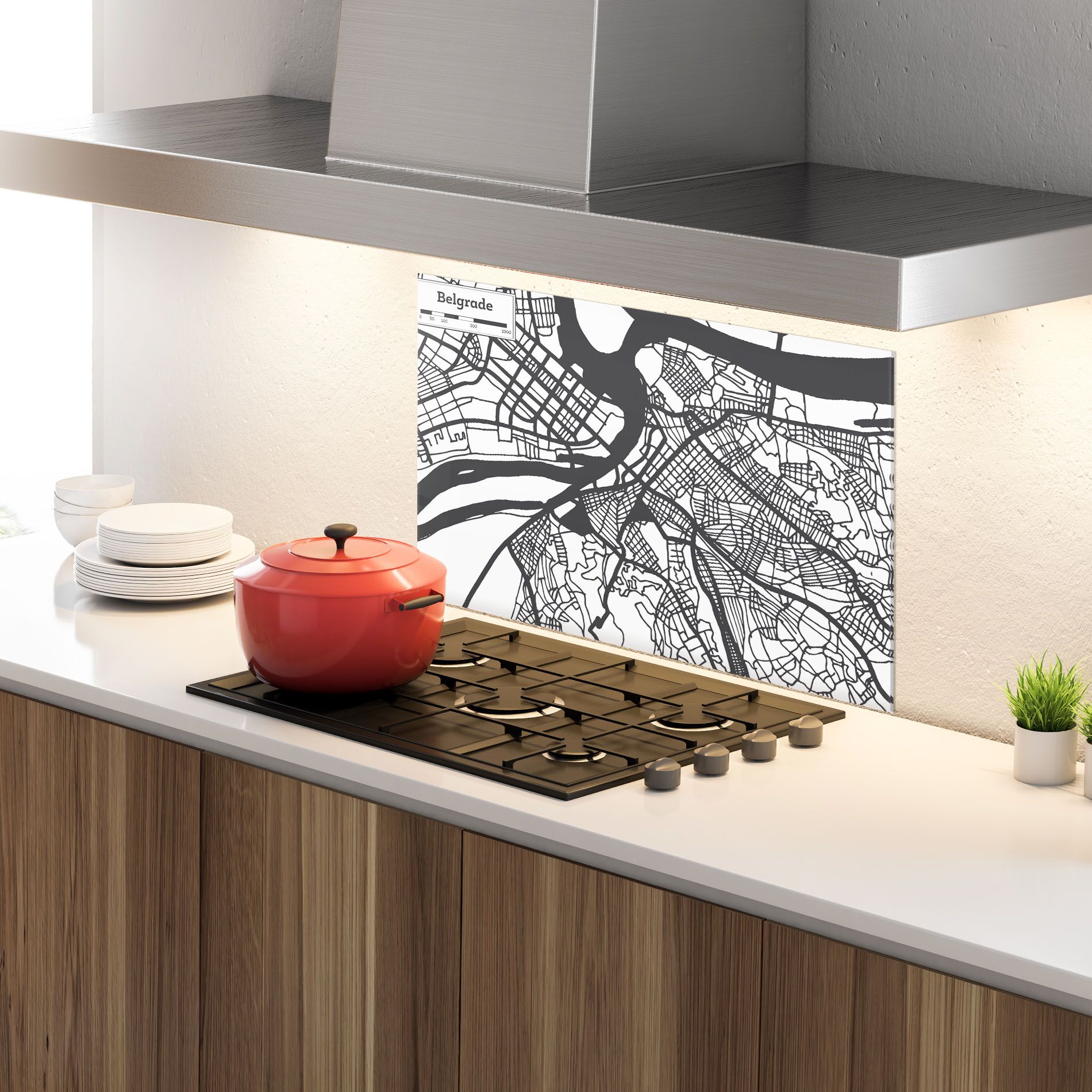 Belgrade Map mockup 4