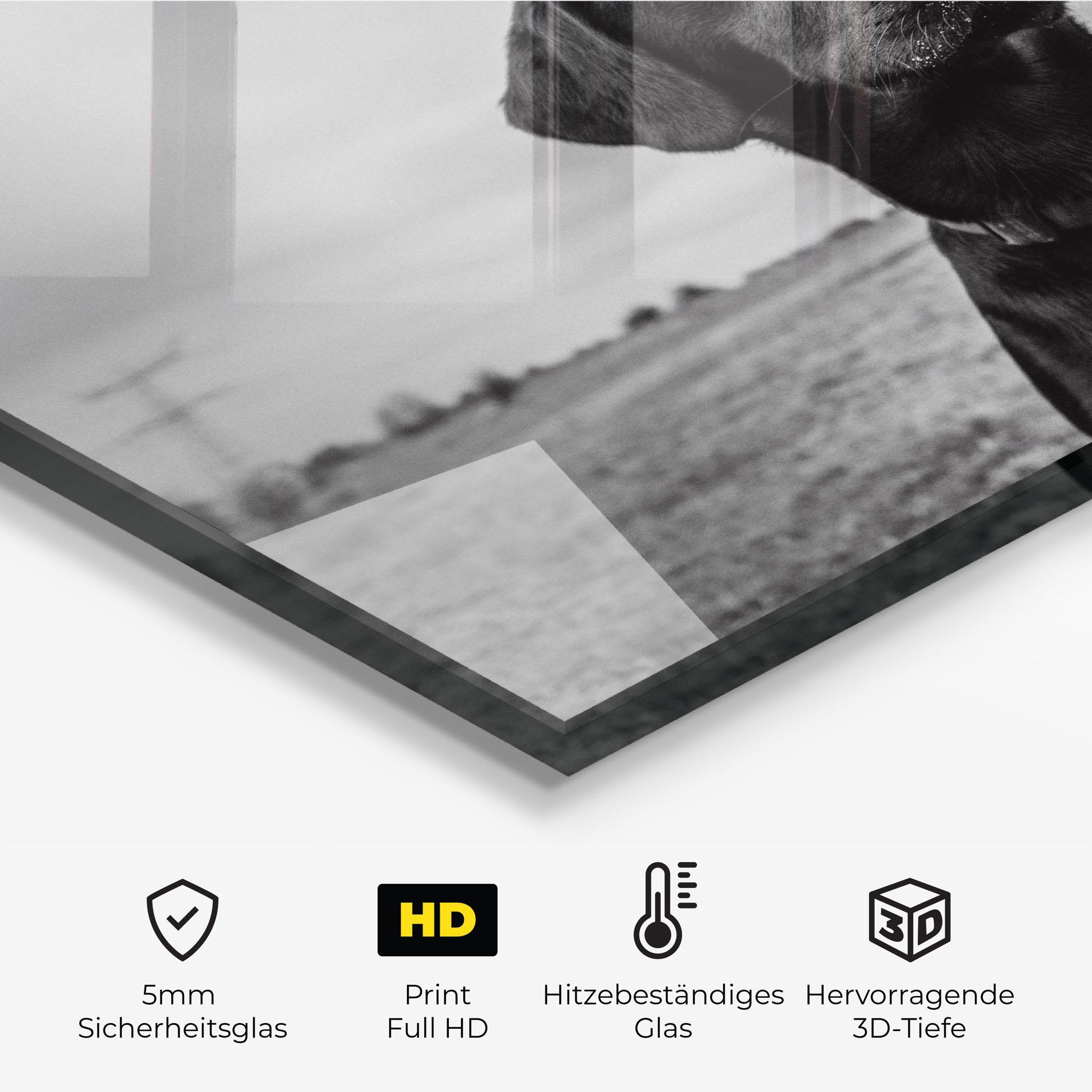 Küchenrückwand Glas Black Dog mockup 2