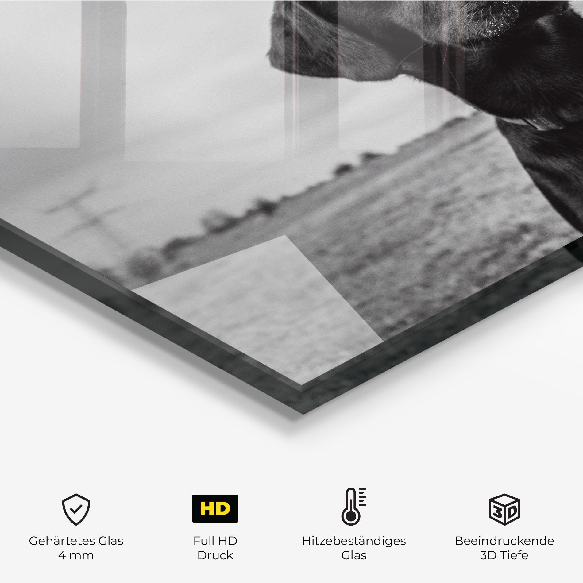 Küchenrückwand Glas Black Dog mockup 2