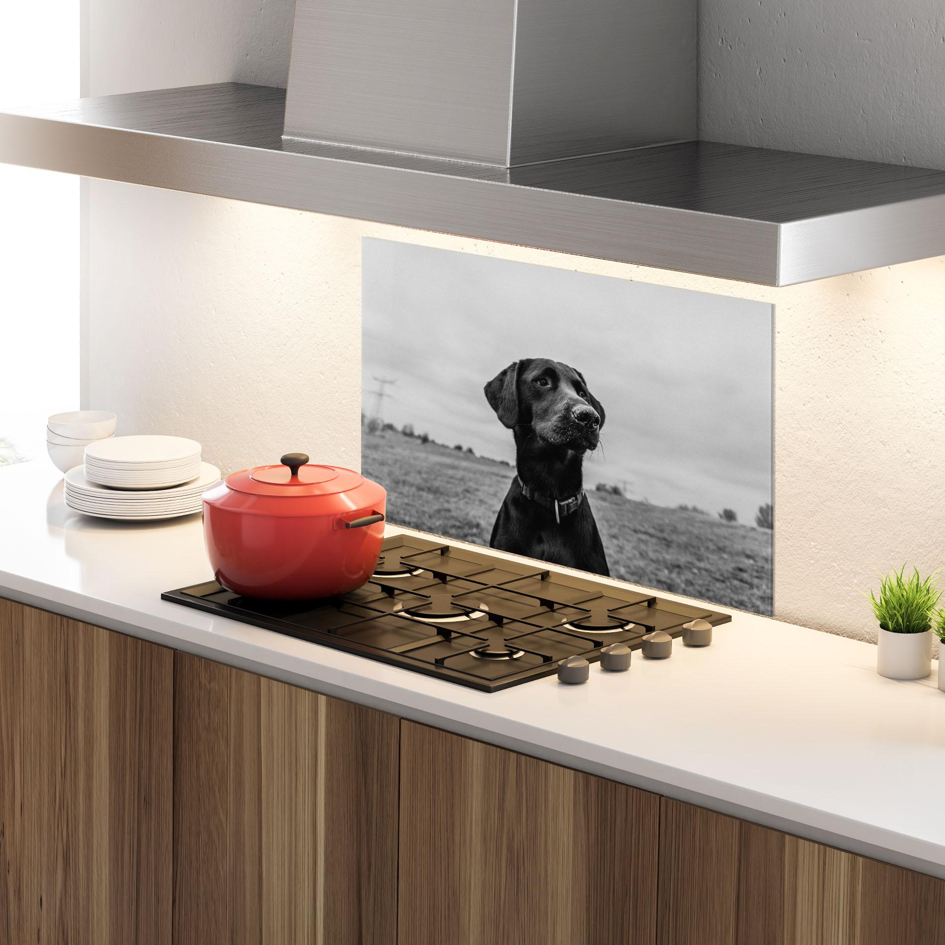 Küchenrückwand Glas Black Dog mockup 4