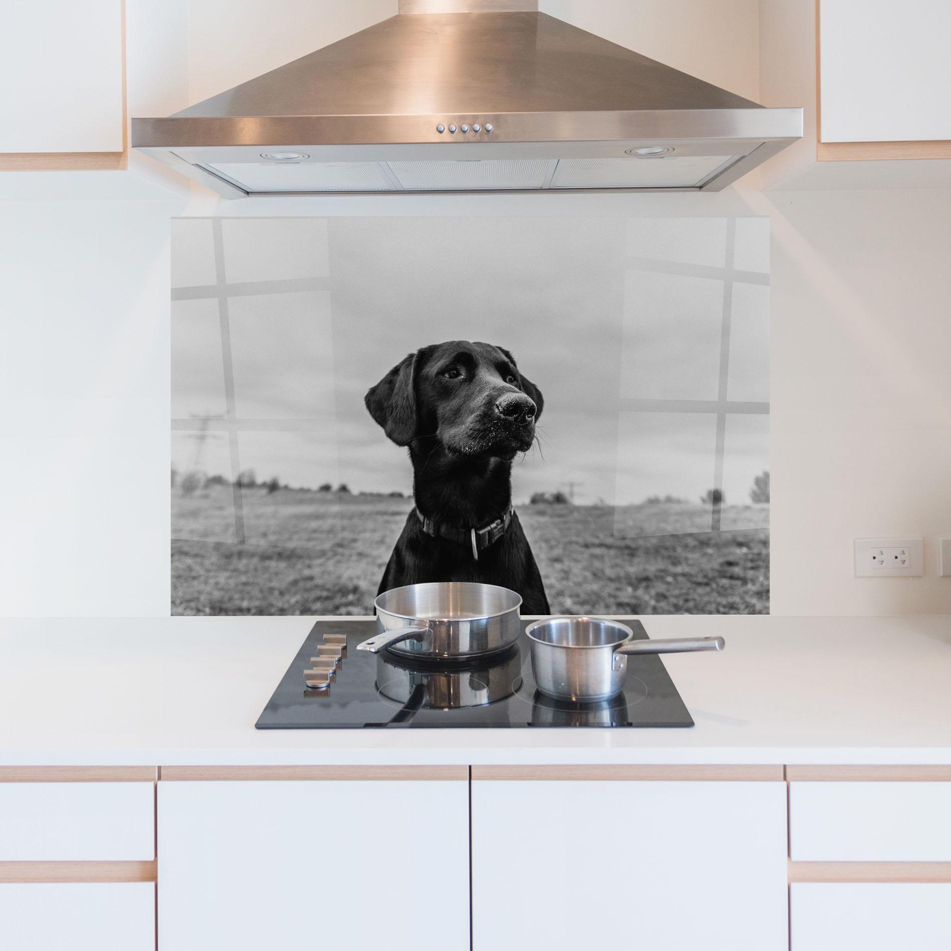 Küchenrückwand Glas Black Dog mockup 5