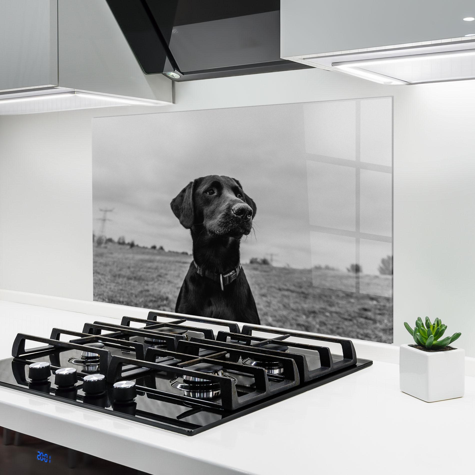 Küchenrückwand Glas Black Dog mockup 6