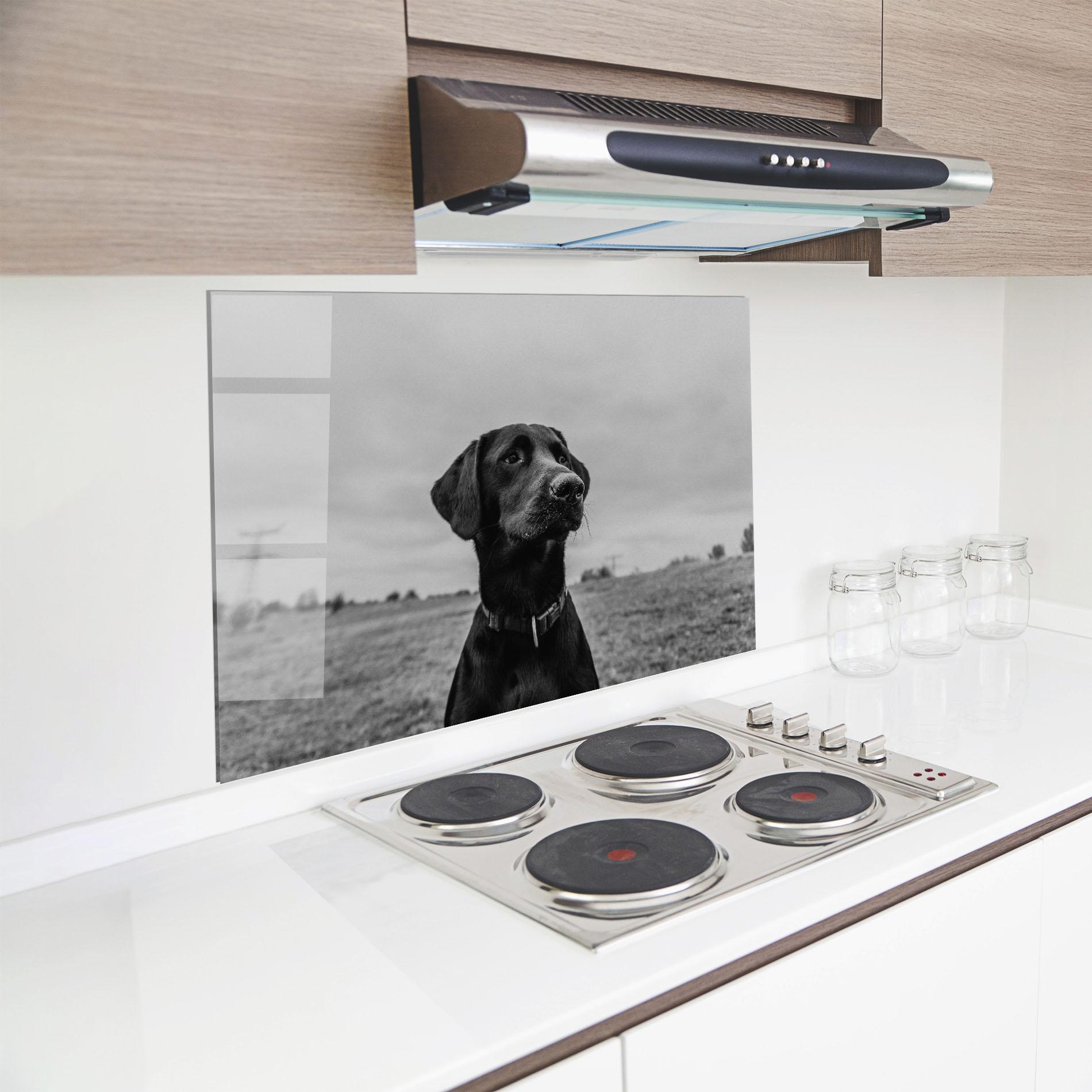 Küchenrückwand Glas Black Dog mockup 8