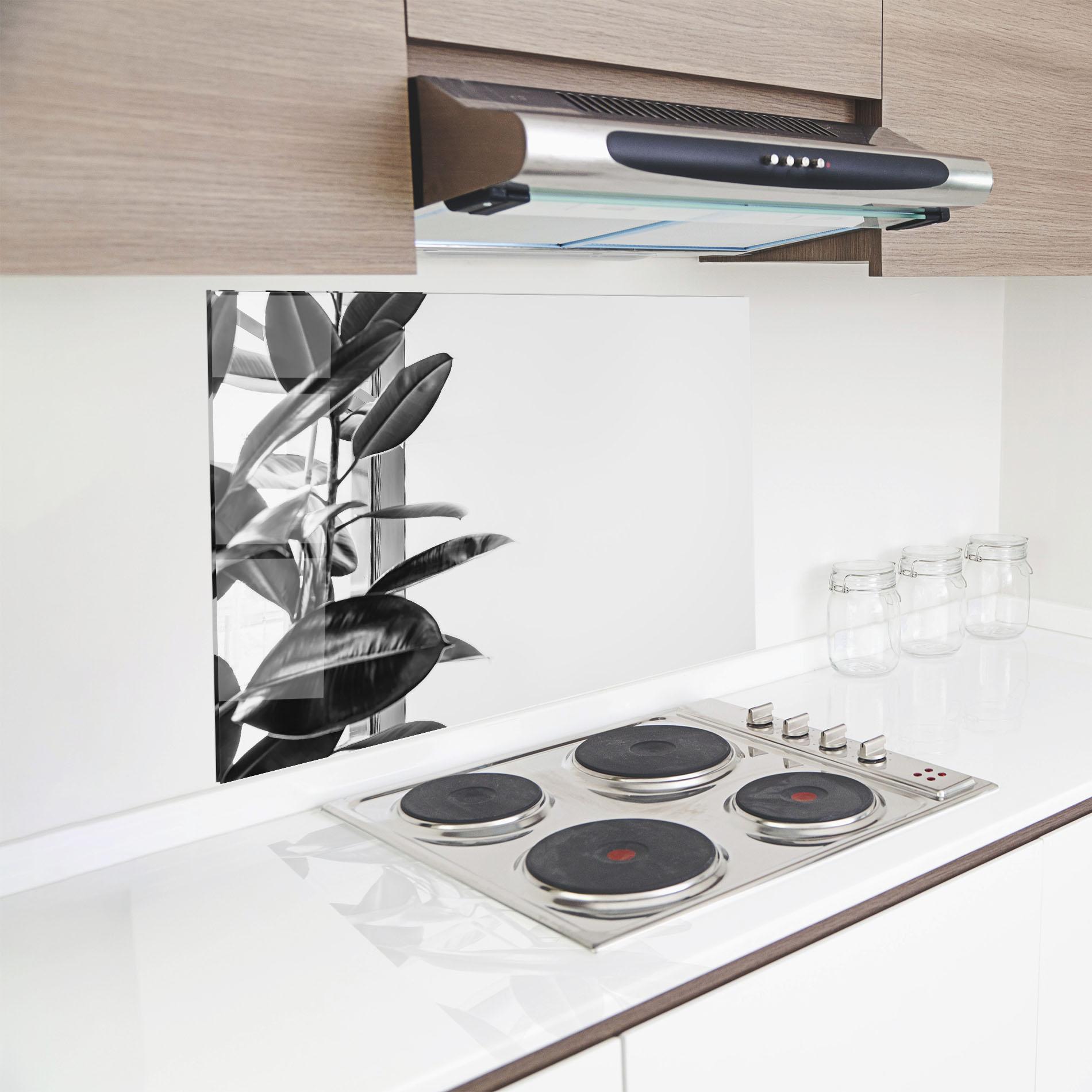 Küchenrückwand Glas Grey Plant mockup 8