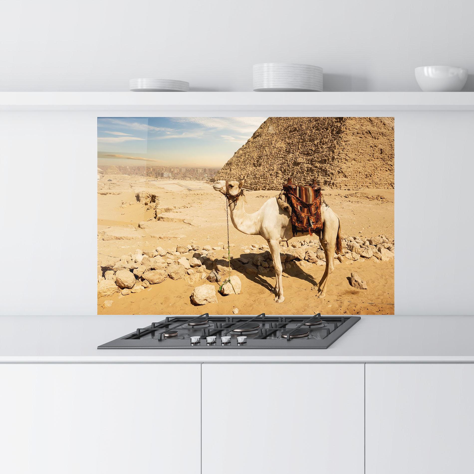Küchenrückwand Glas Camel Near Ruins mockup 9
