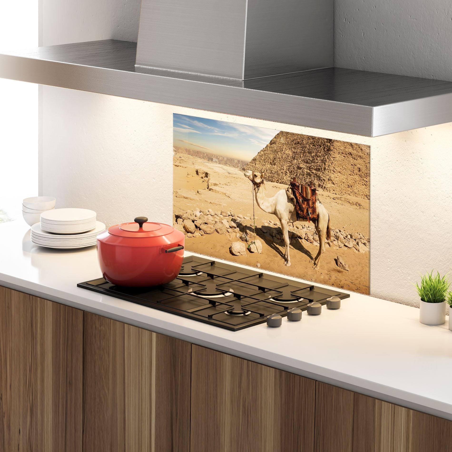 Küchenrückwand Glas Camel Near Ruins mockup 4