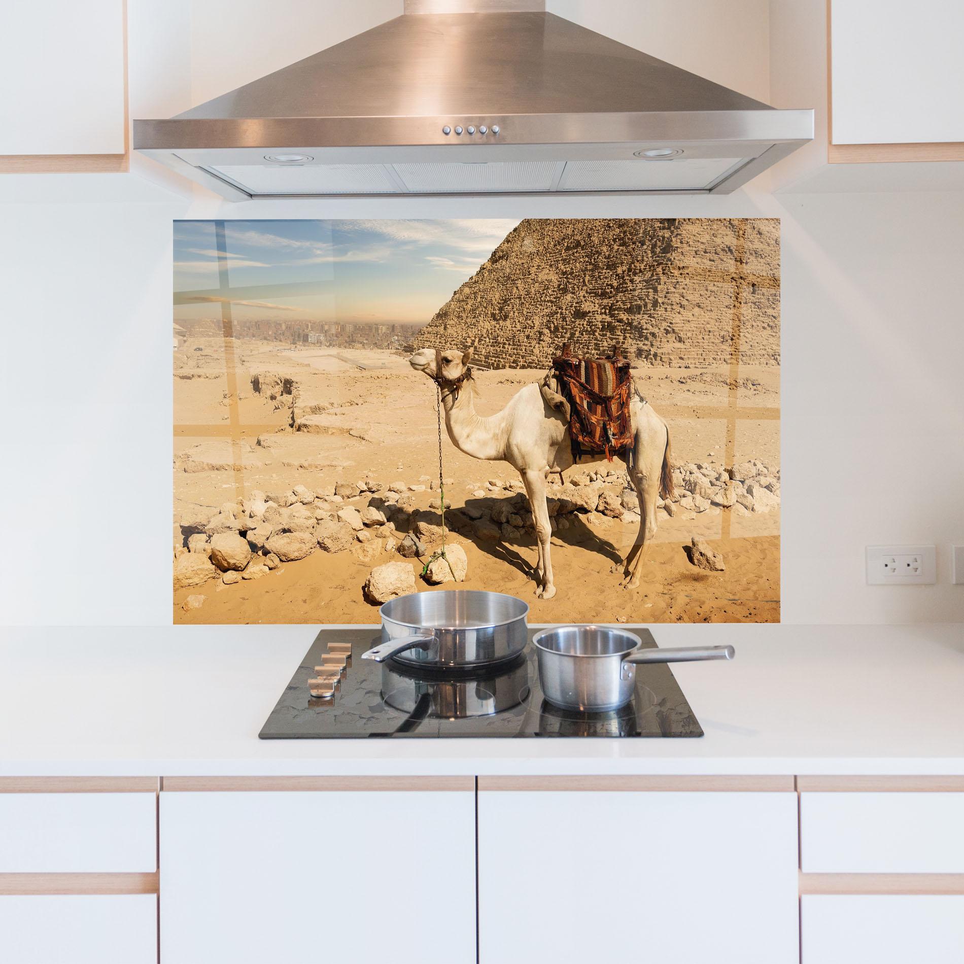 Küchenrückwand Glas Camel Near Ruins mockup 5