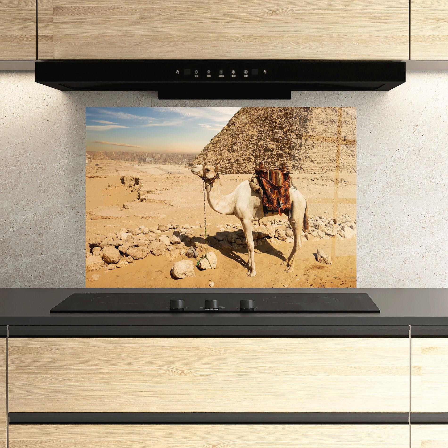 Küchenrückwand Glas Camel Near Ruins mockup 3