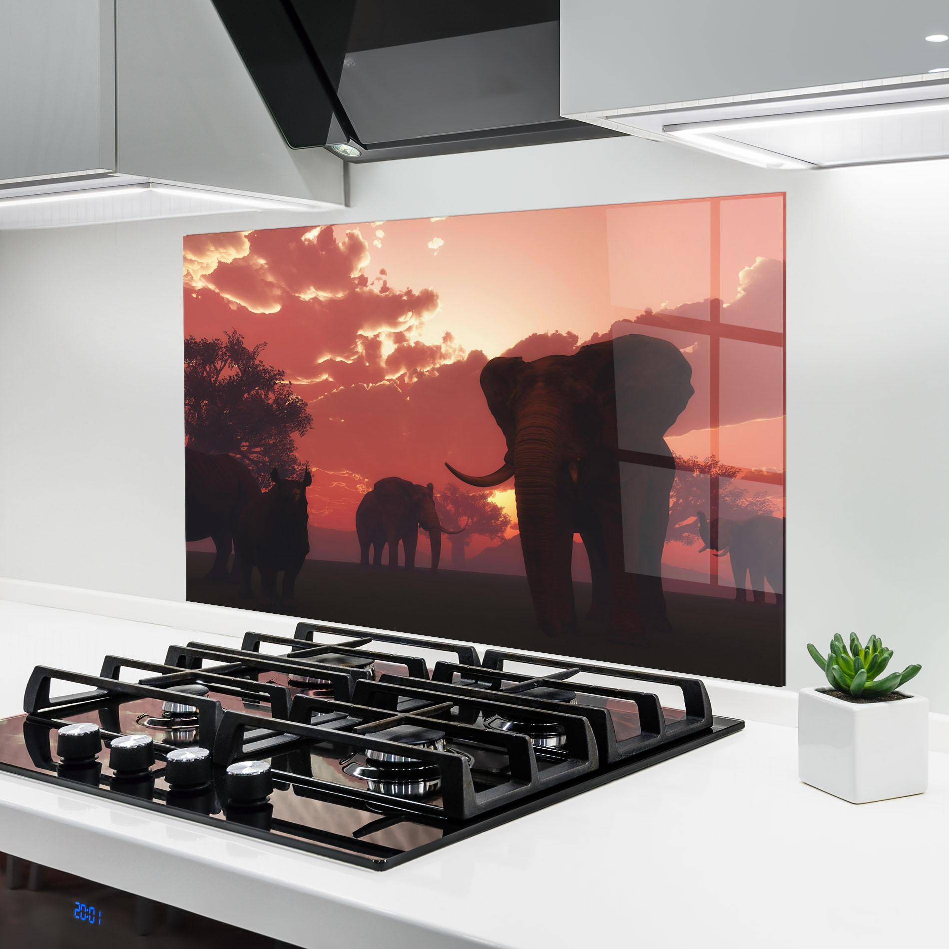 Küchenrückwand Glas African Elephant View mockup 6