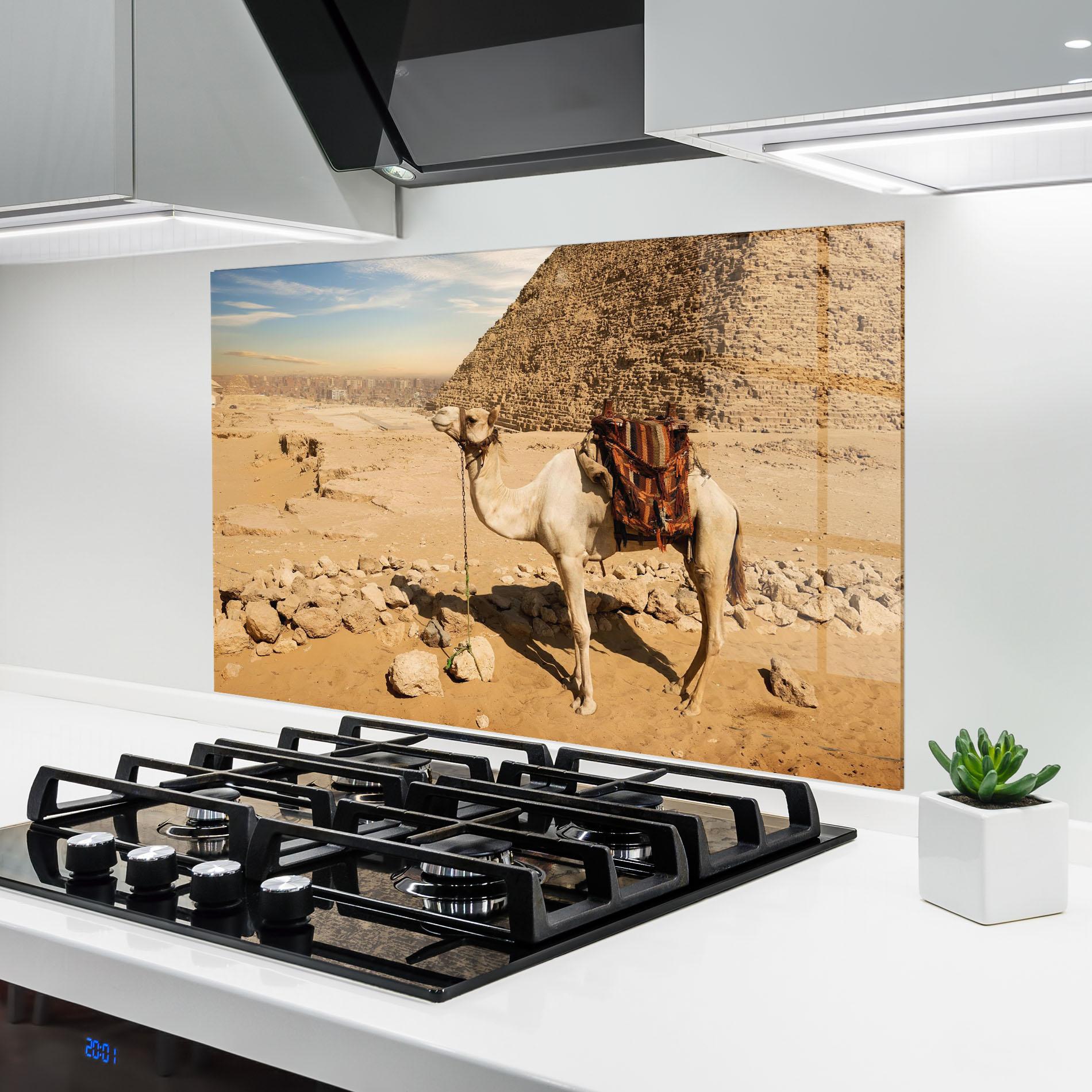 Küchenrückwand Glas Camel Near Ruins mockup 6