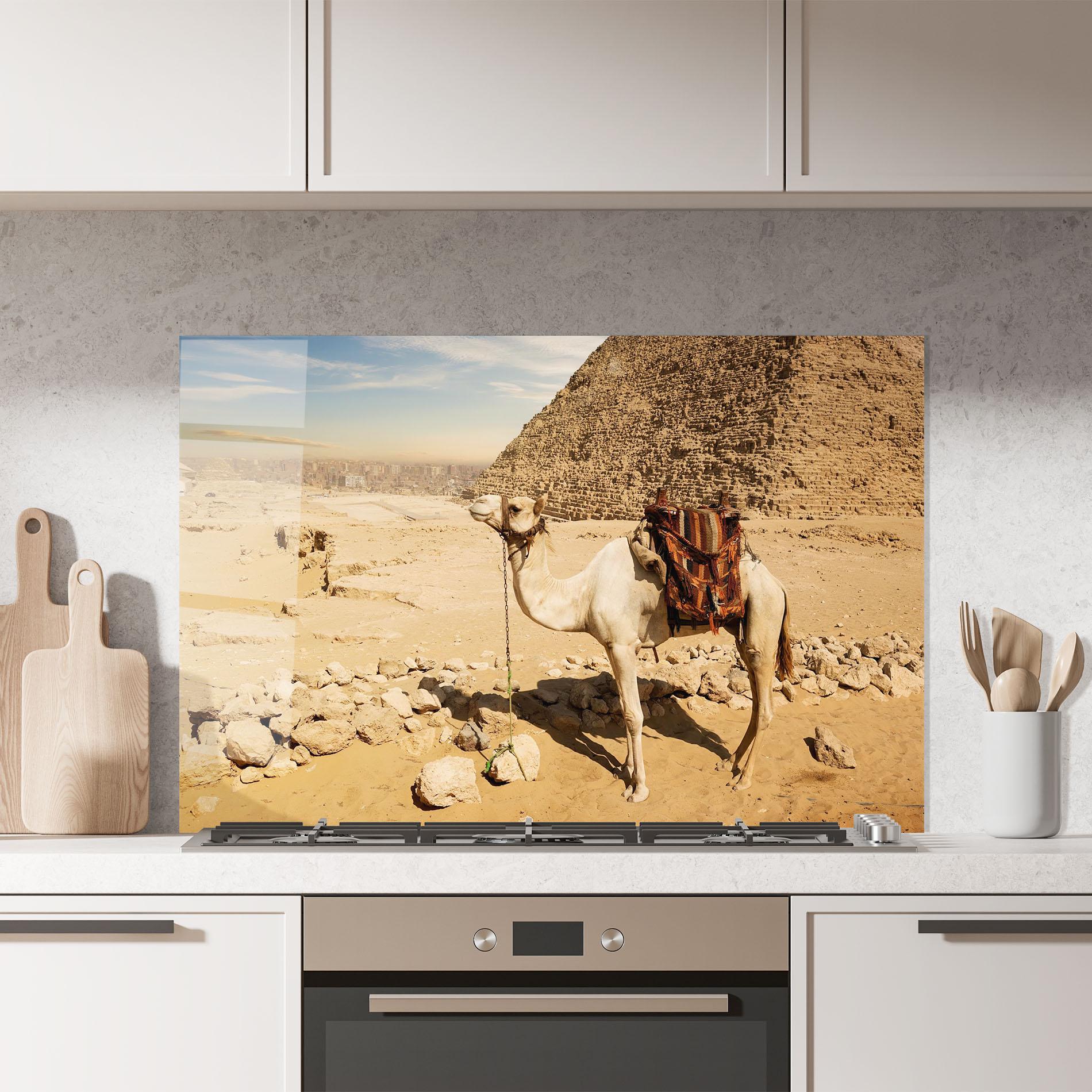 Küchenrückwand Glas Camel Near Ruins mockup 7