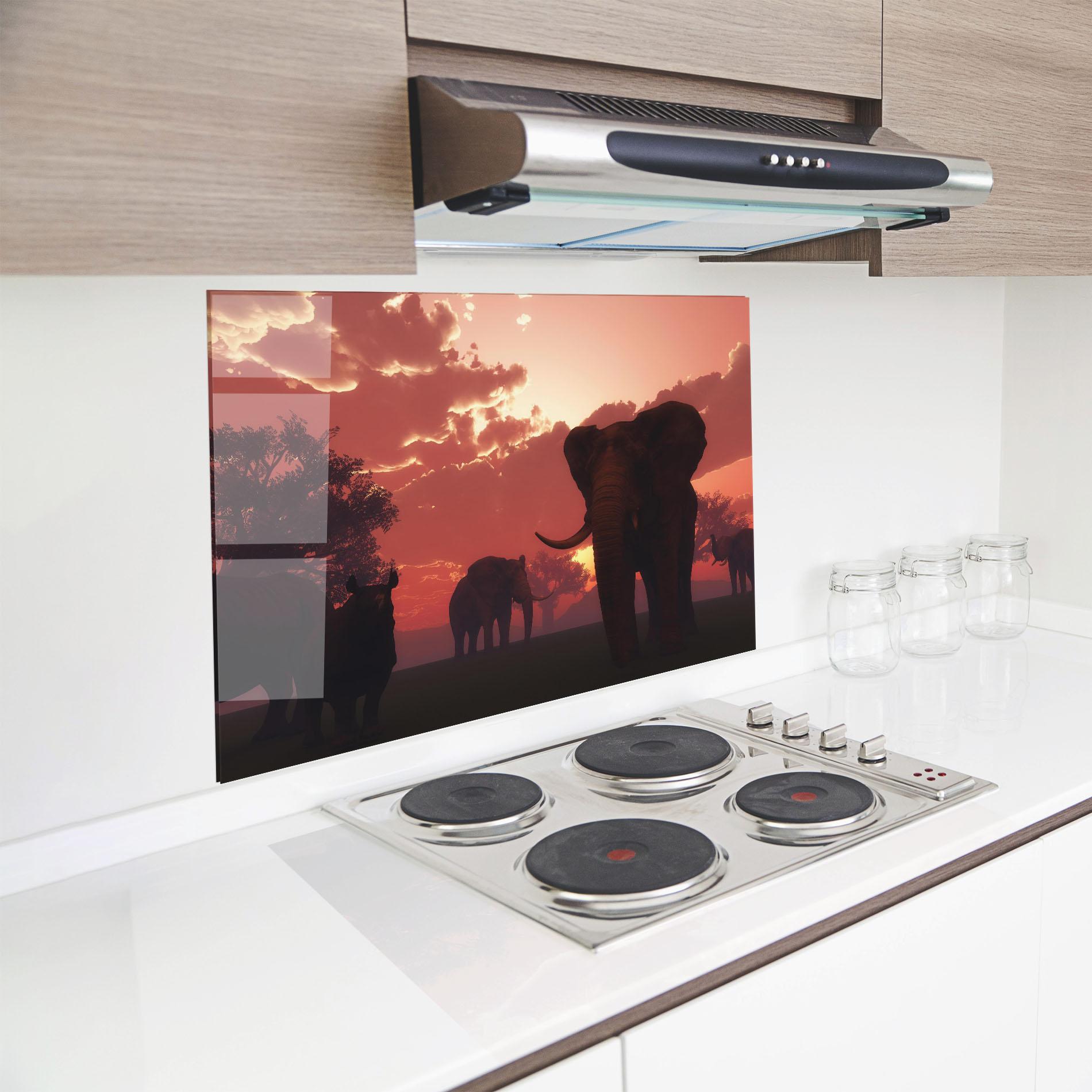 Küchenrückwand Glas African Elephant View mockup 8