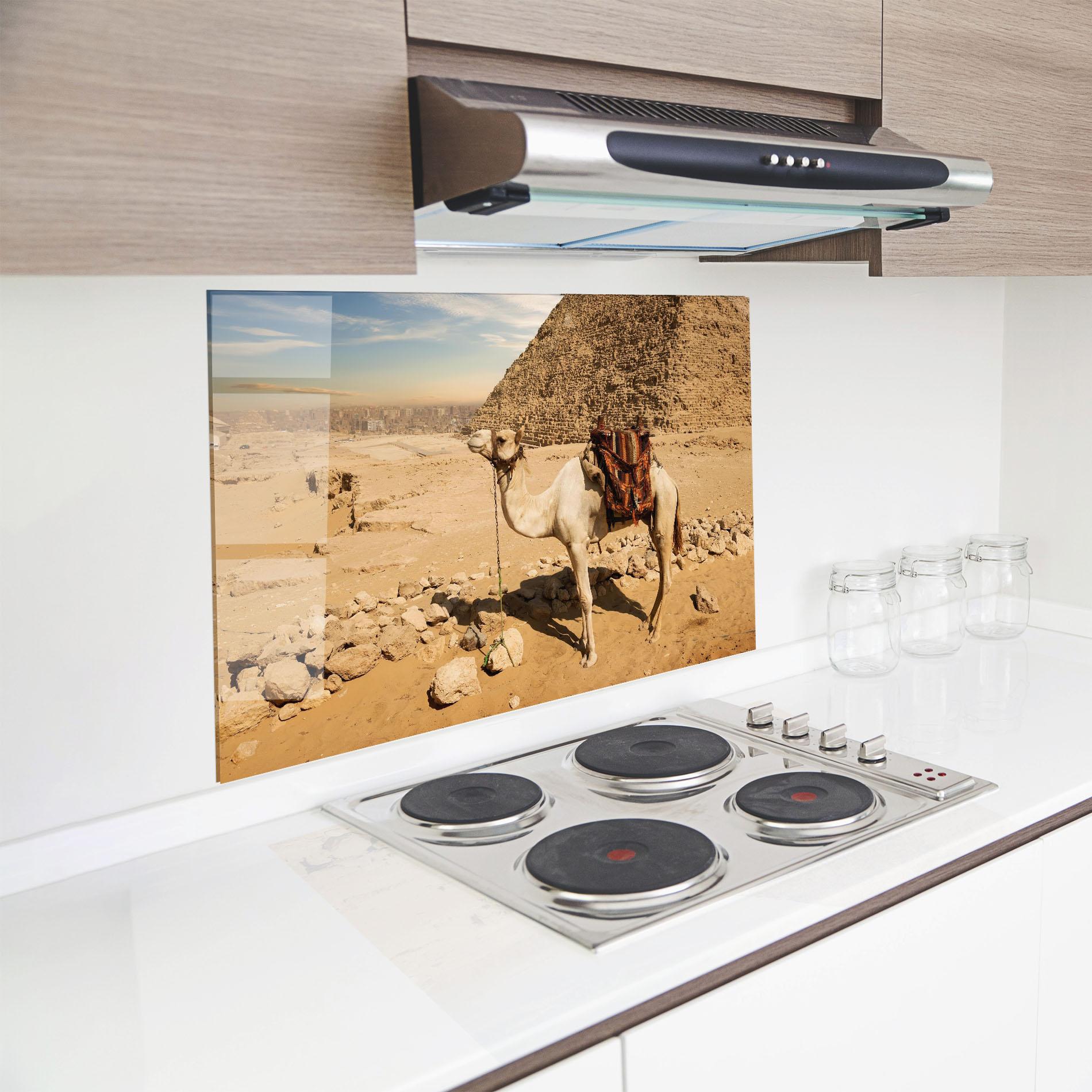 Küchenrückwand Glas Camel Near Ruins mockup 8