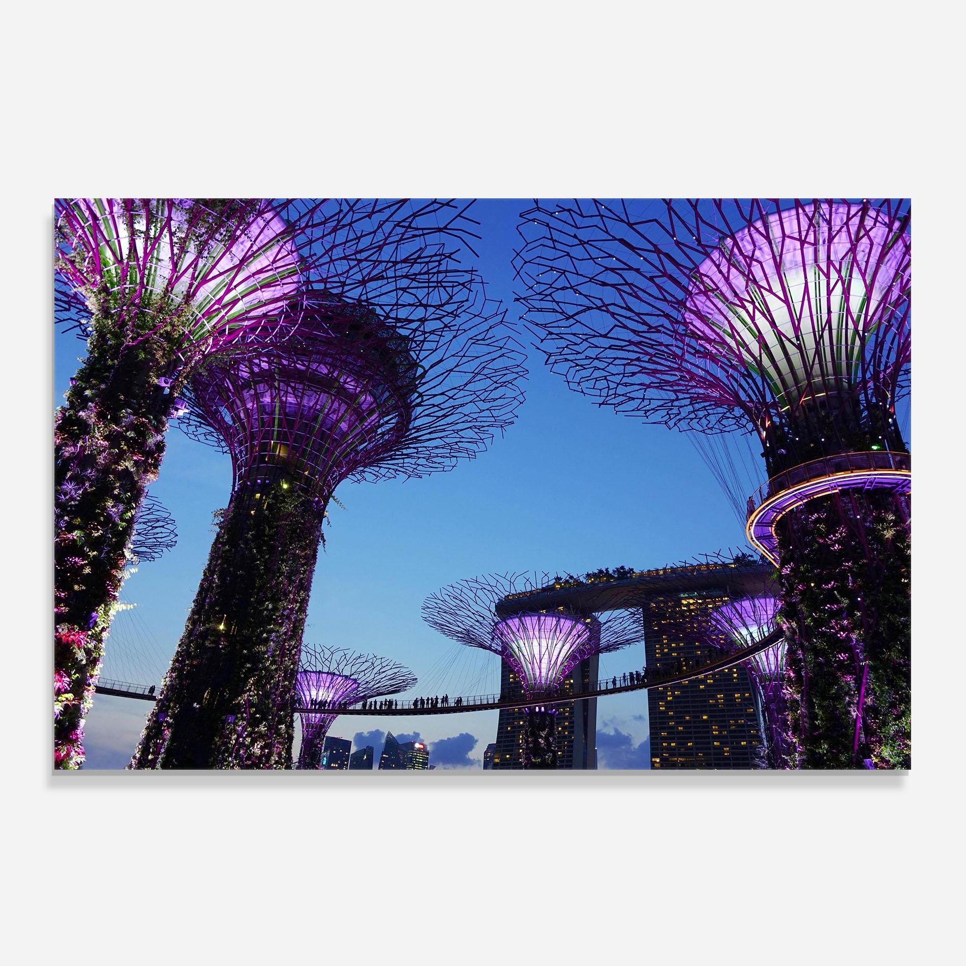 Küchenrückwand Glas Gardens By The Bay mockup 0