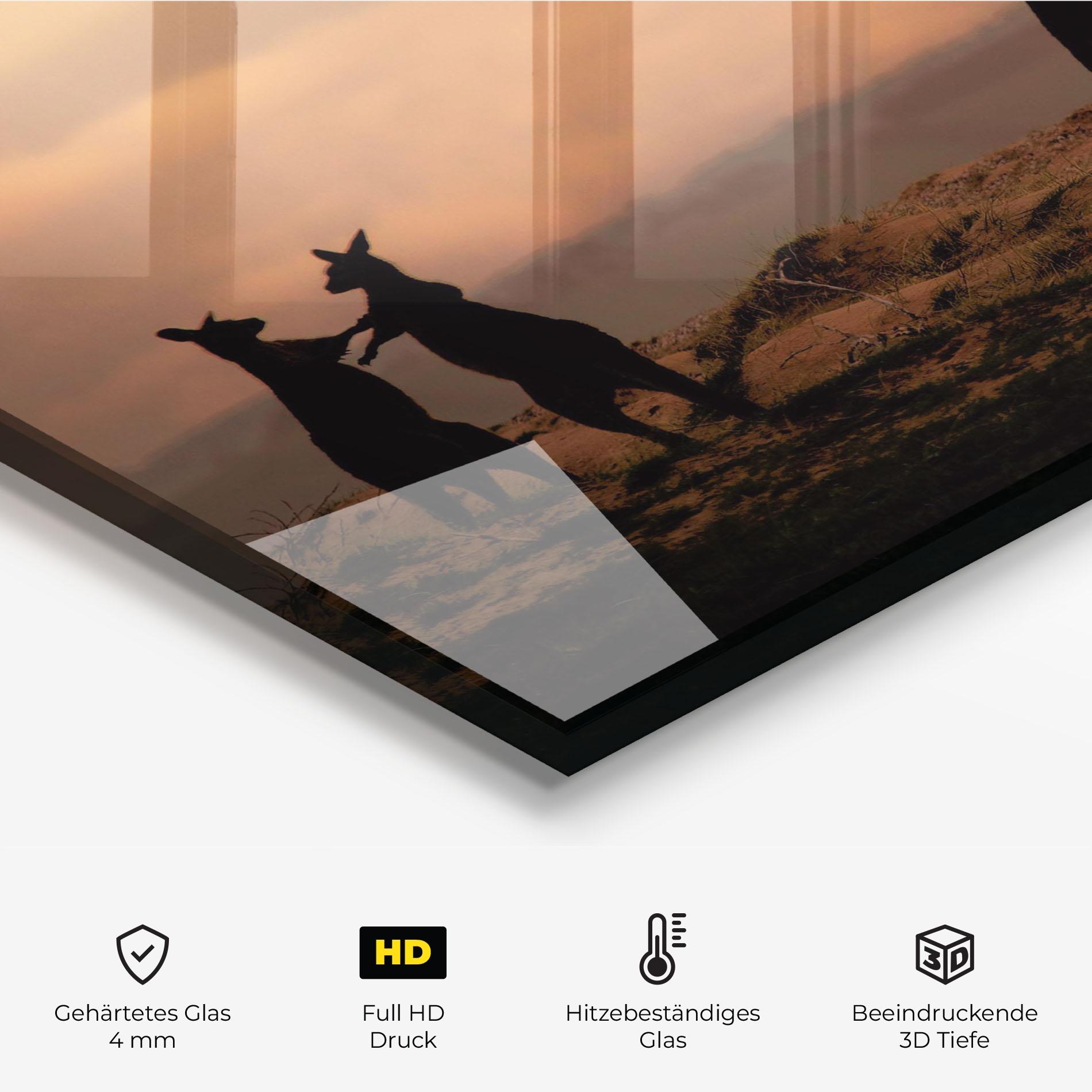 Küchenrückwand Glas Kangaroos Playing mockup 2