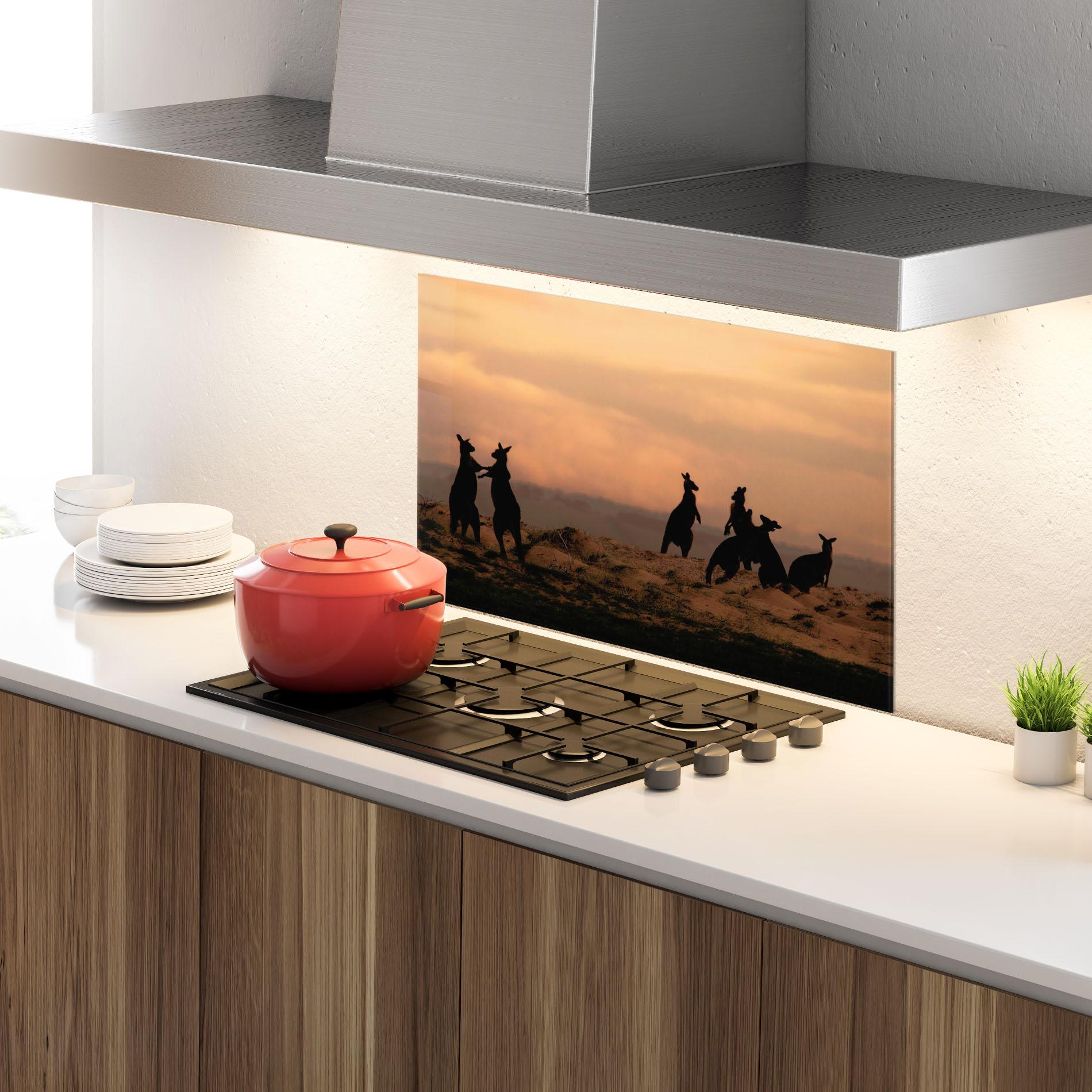 Küchenrückwand Glas Kangaroos Playing mockup 4