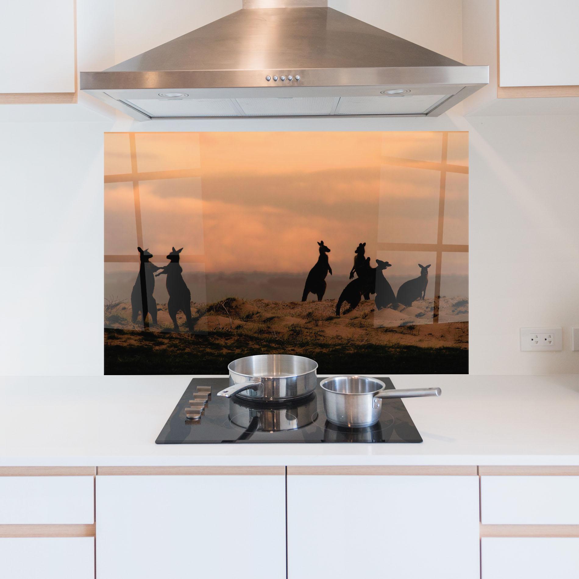 Küchenrückwand Glas Kangaroos Playing mockup 5