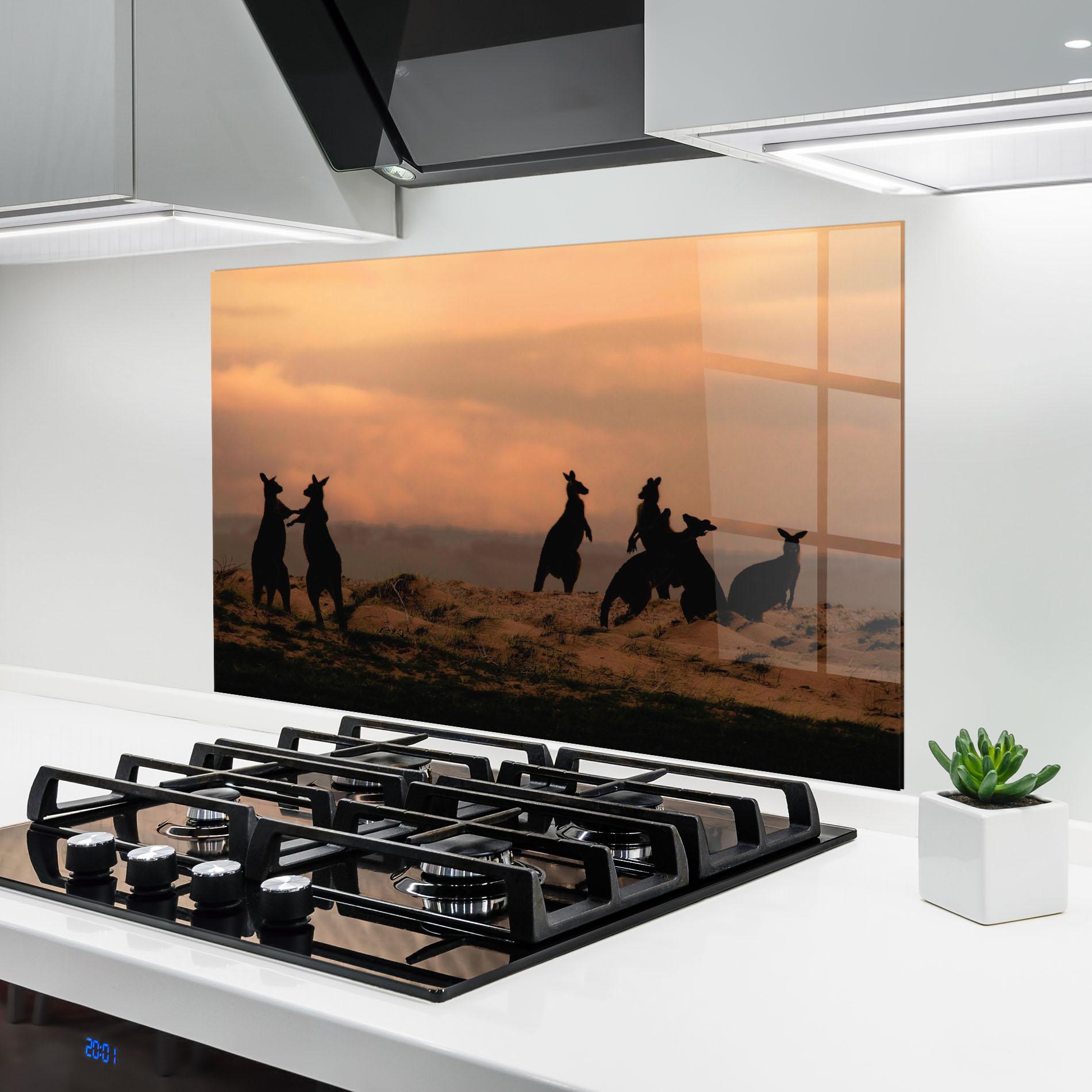 Küchenrückwand Glas Kangaroos Playing mockup 6