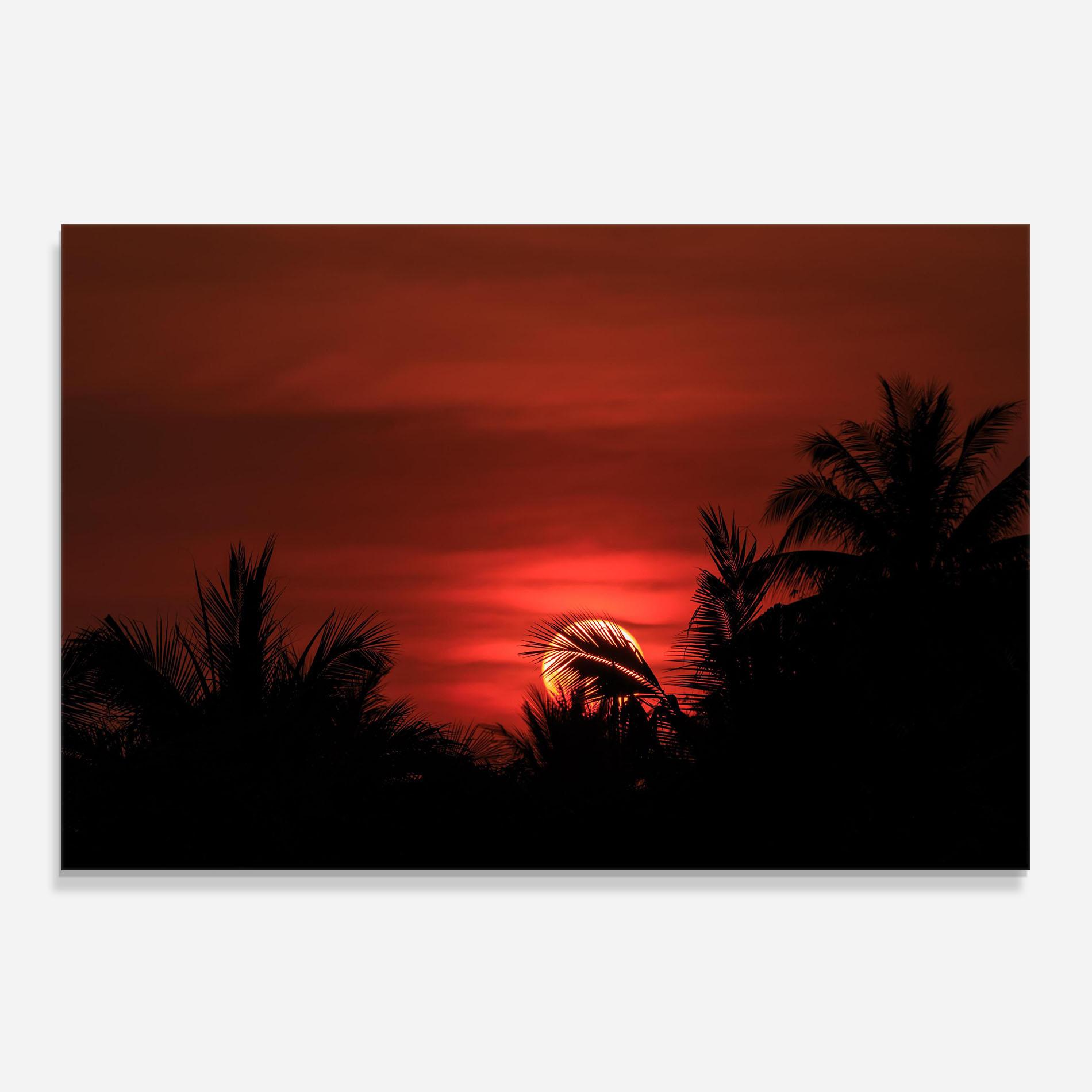 Küchenrückwand Glas Coconuts Tree Sunset mockup 0