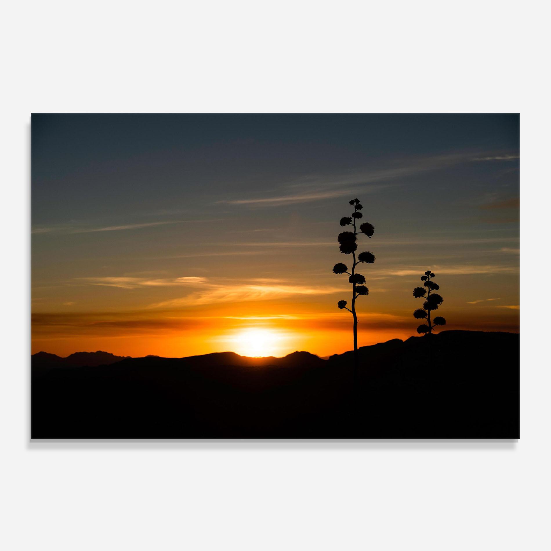 Küchenrückwand Glas Leaves Shilouette Sunset mockup 0