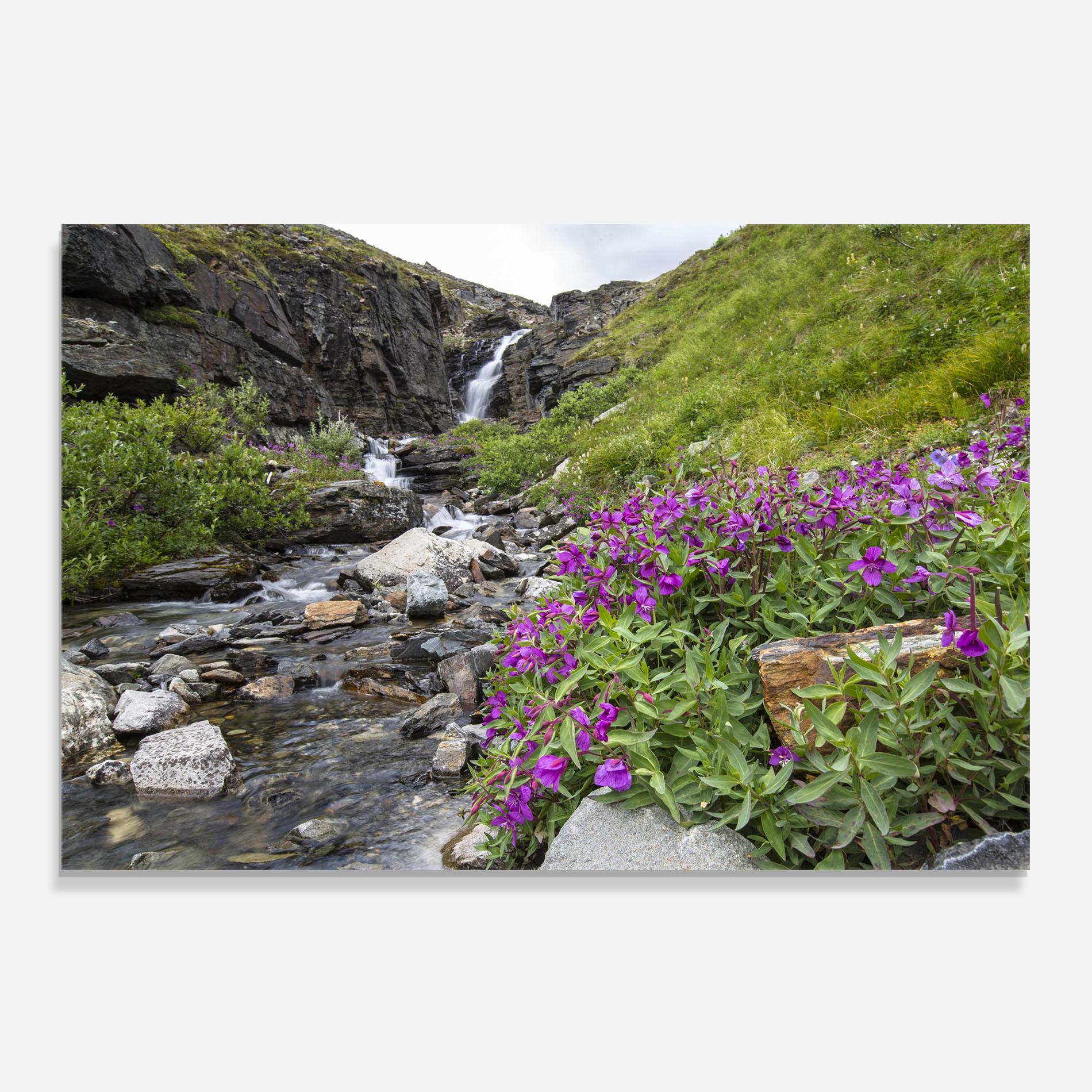 Küchenrückwand Glas Purple Flowers Waterfall mockup 0