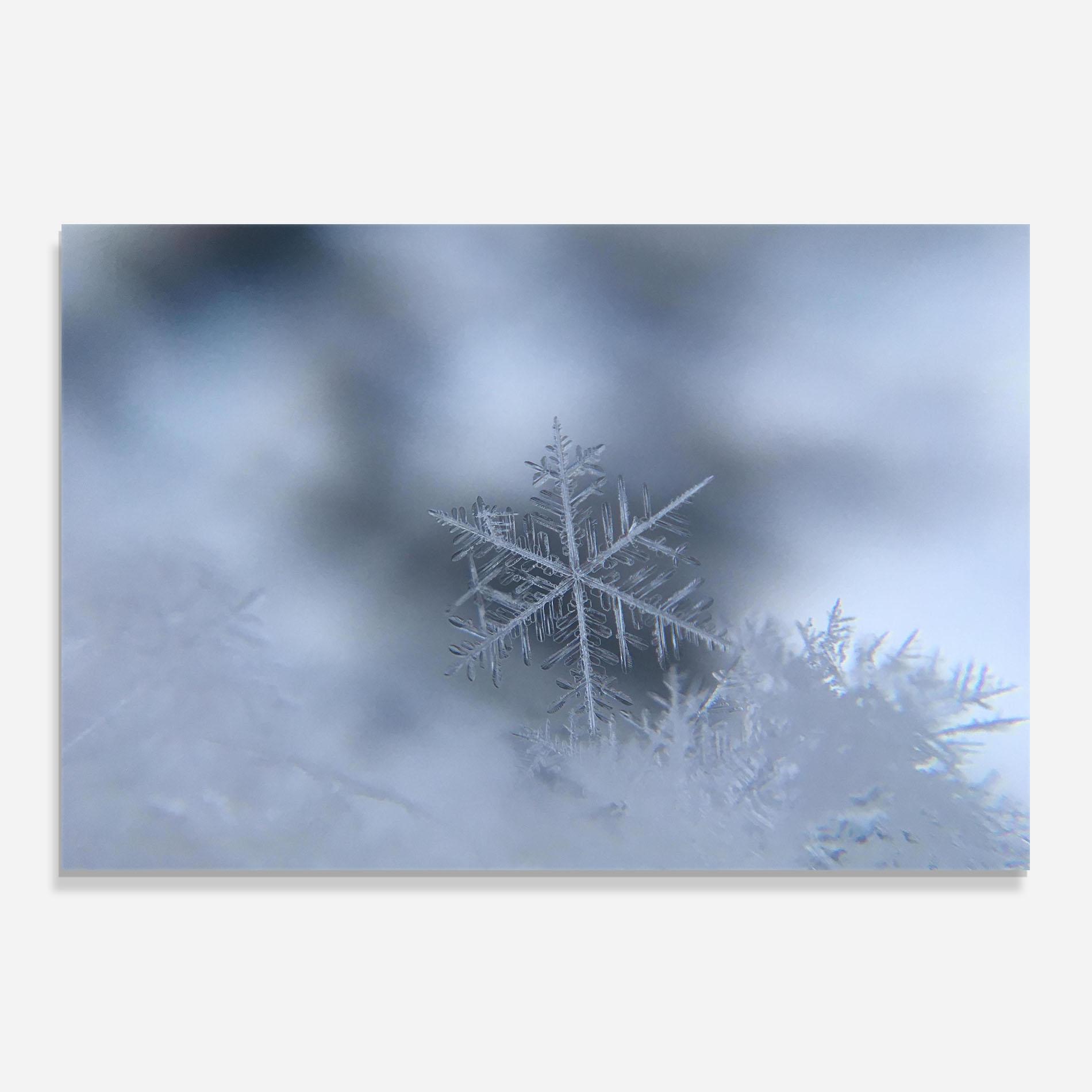 Küchenrückwand Glas Pretty Snowflake mockup 0