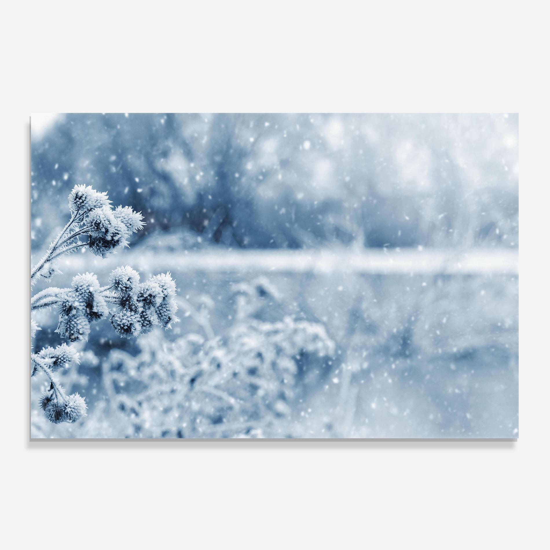 Küchenrückwand Glas Pretty Winter Plants mockup 0