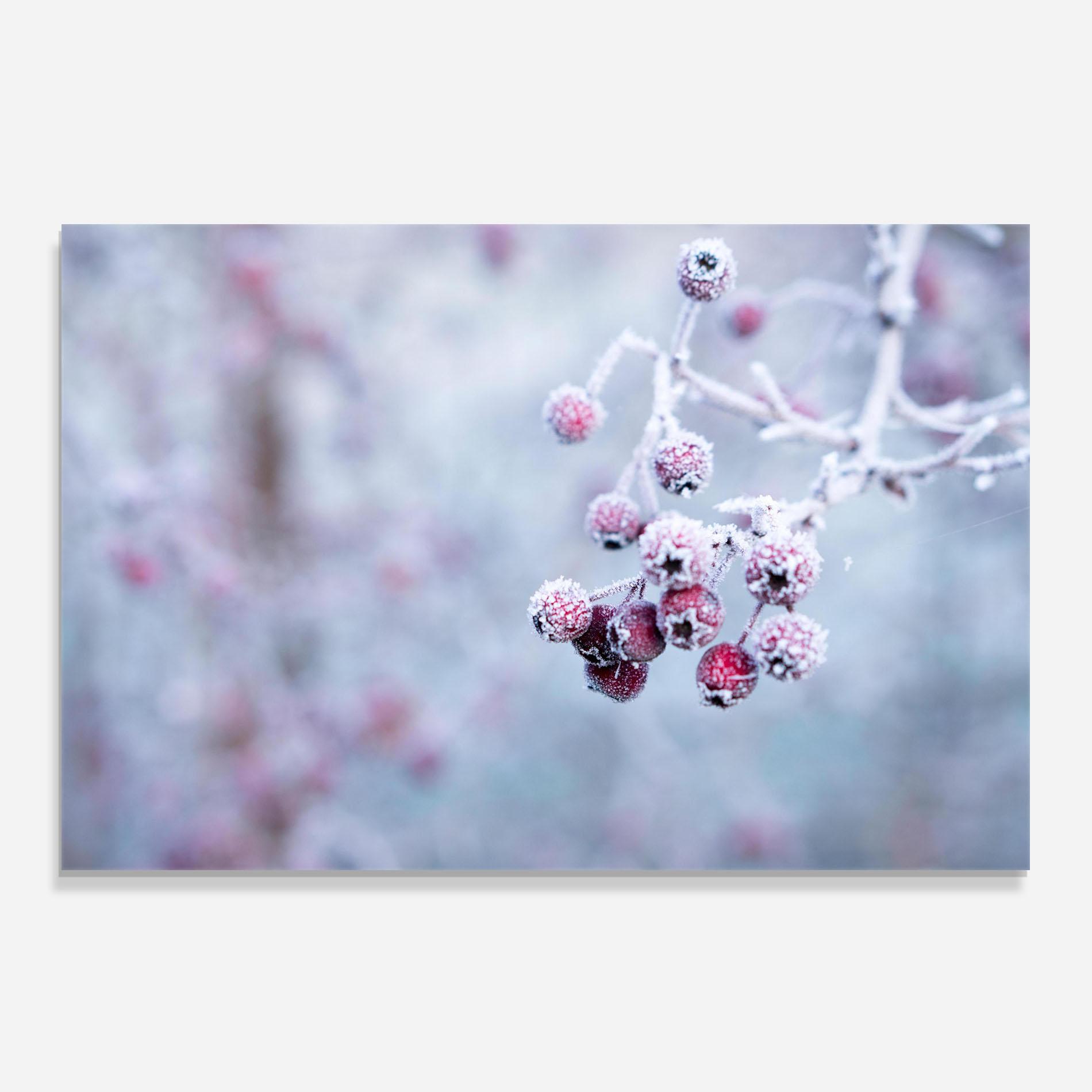 Küchenrückwand Glas Red Winter Fruits mockup 0
