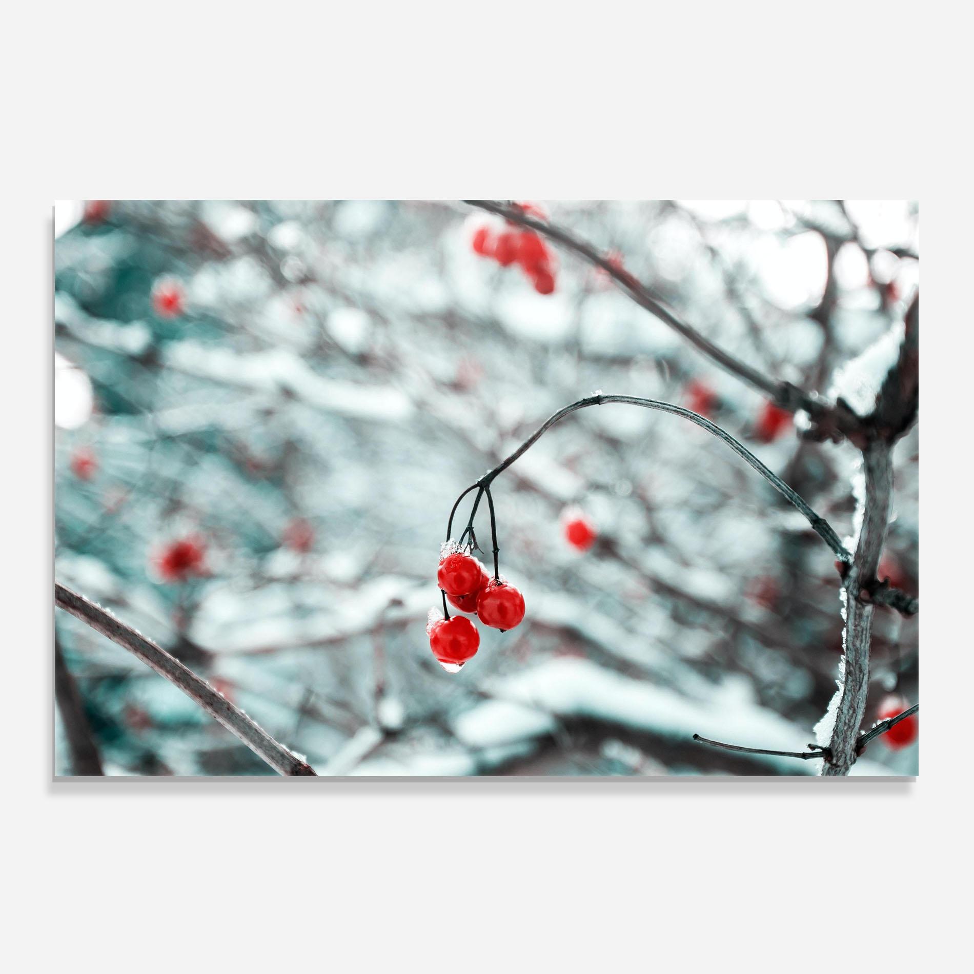 Küchenrückwand Glas Snow Red Fruits mockup 0
