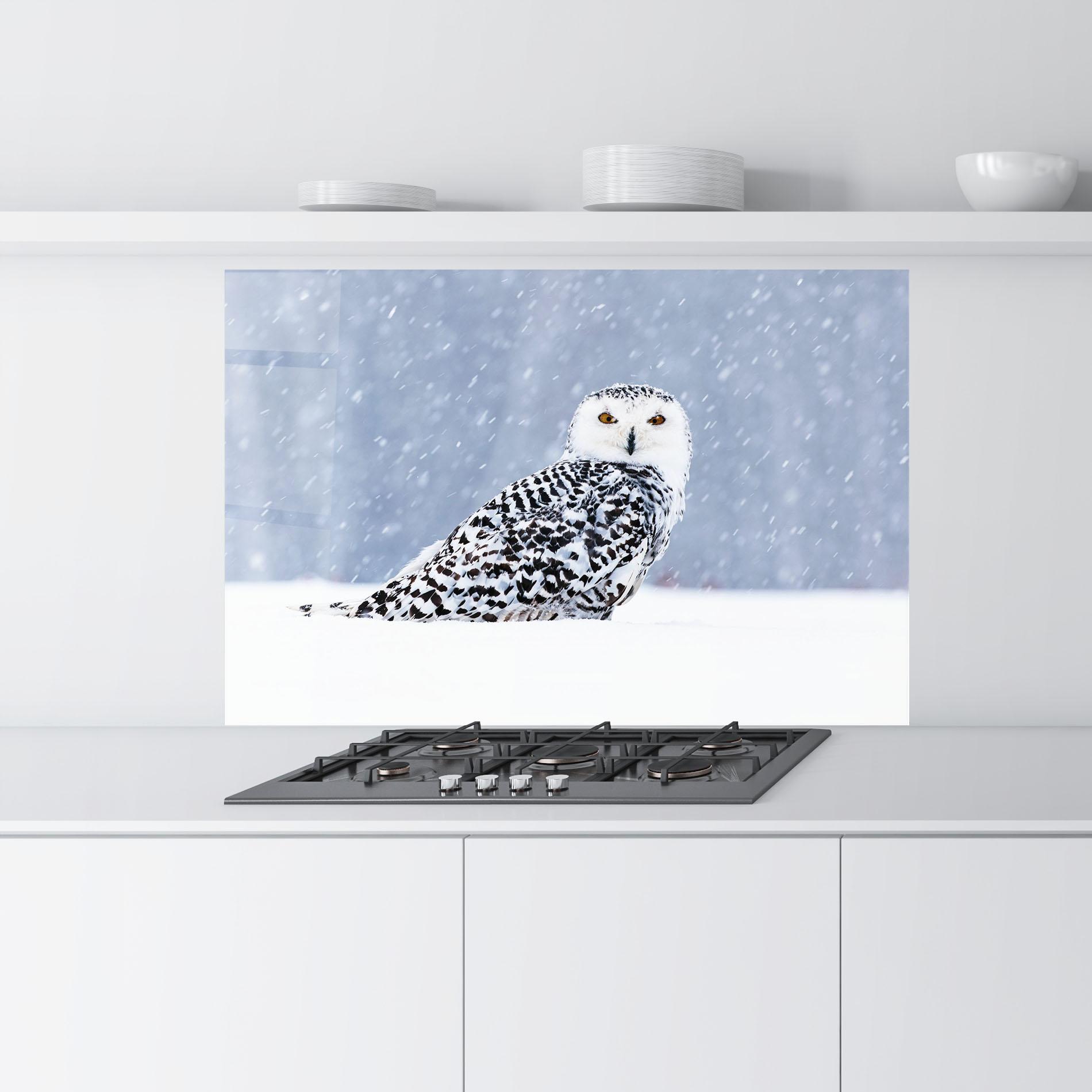 Küchenrückwand Glas Snow Owl mockup 9