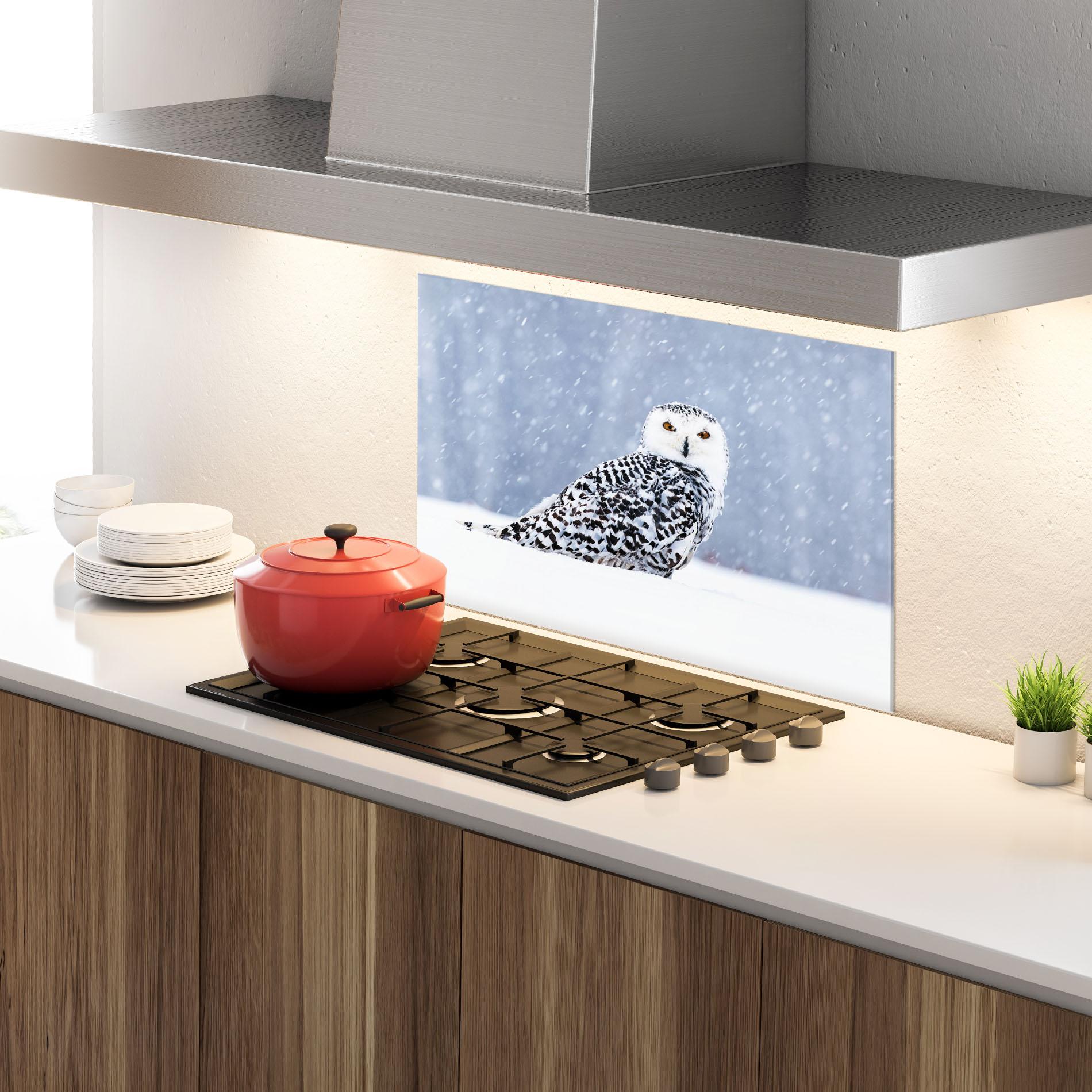 Küchenrückwand Glas Snow Owl mockup 4