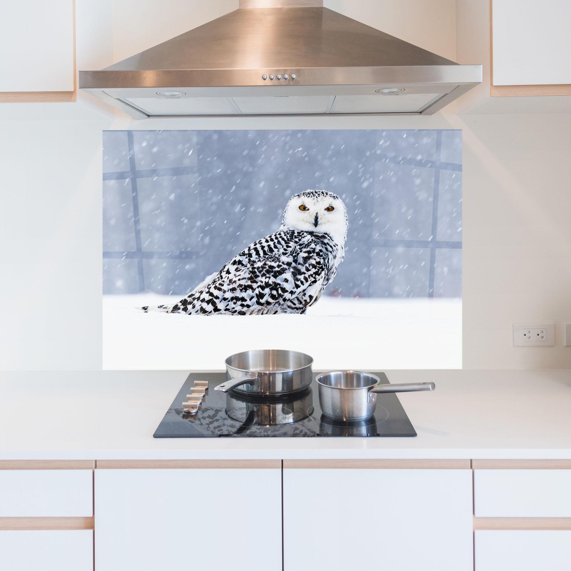 Küchenrückwand Glas Snow Owl mockup 5