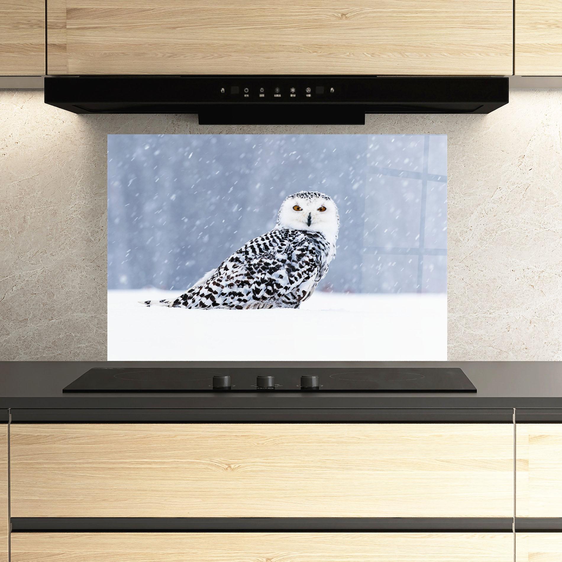 Küchenrückwand Glas Snow Owl mockup 3