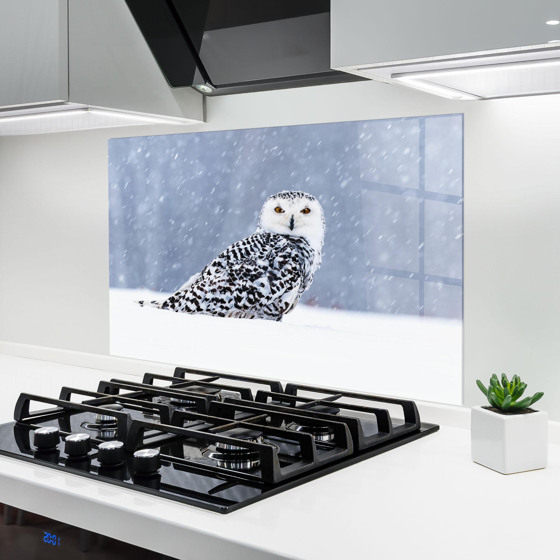 Küchenrückwand Glas Snow Owl mockup 6