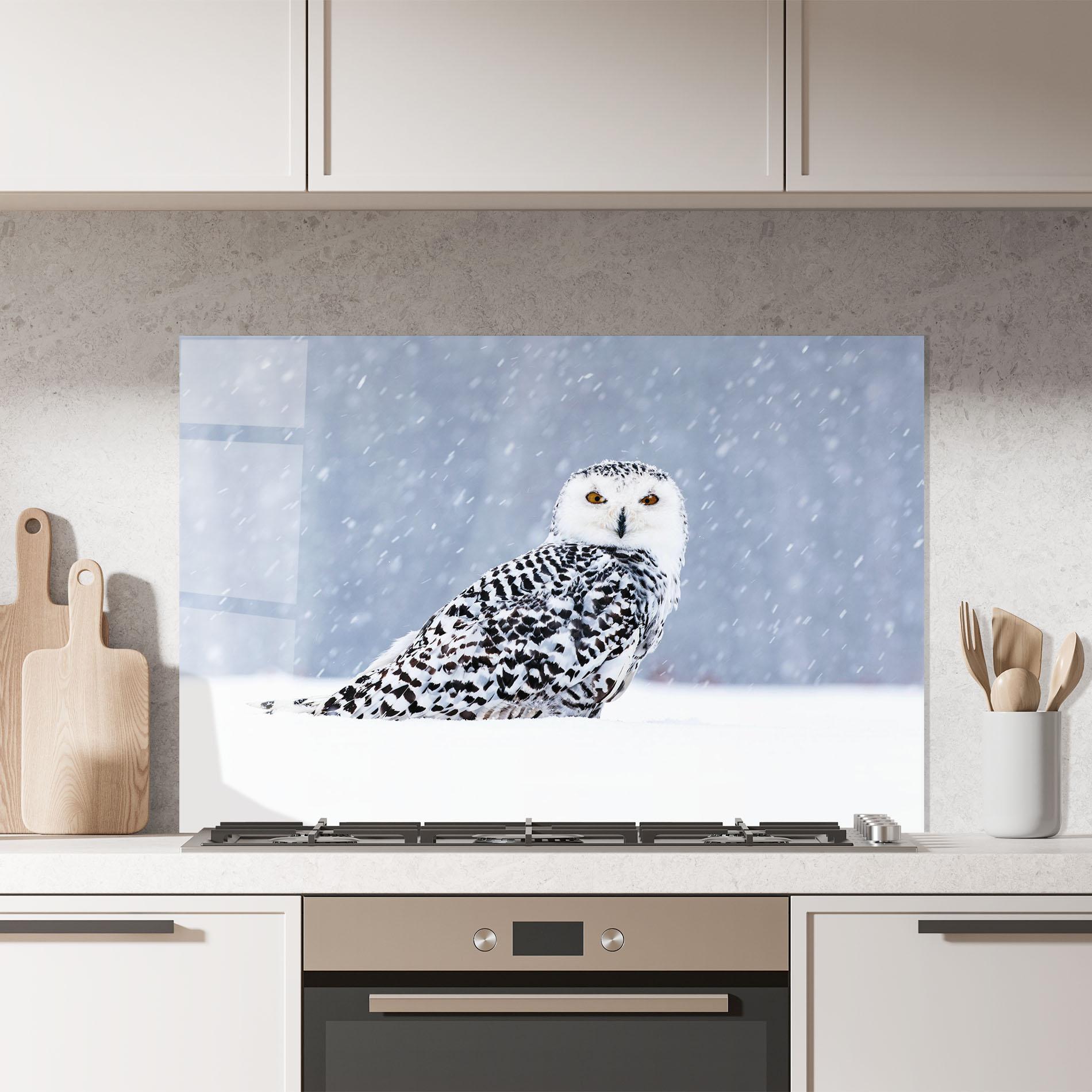 Küchenrückwand Glas Snow Owl mockup 7