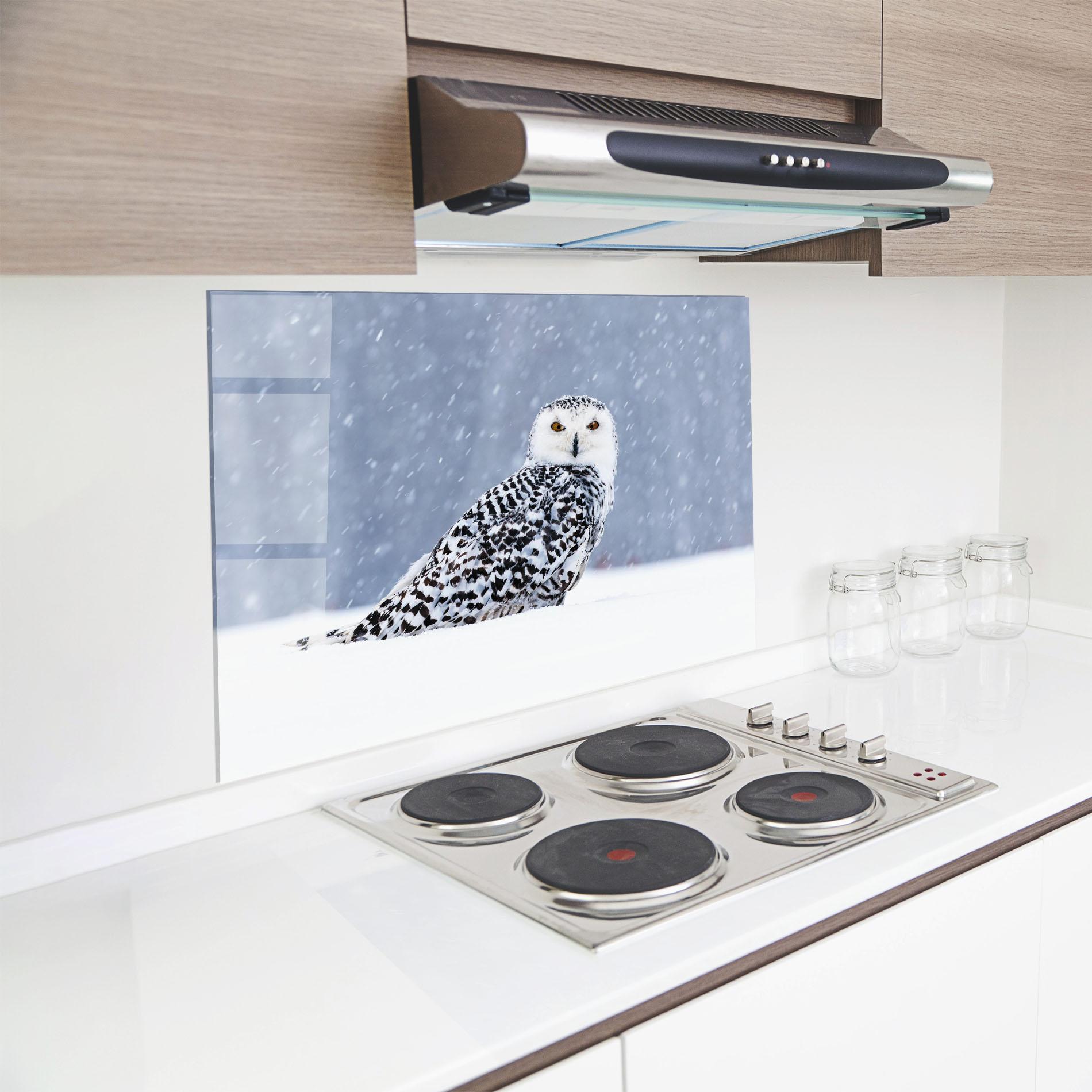 Küchenrückwand Glas Snow Owl mockup 8