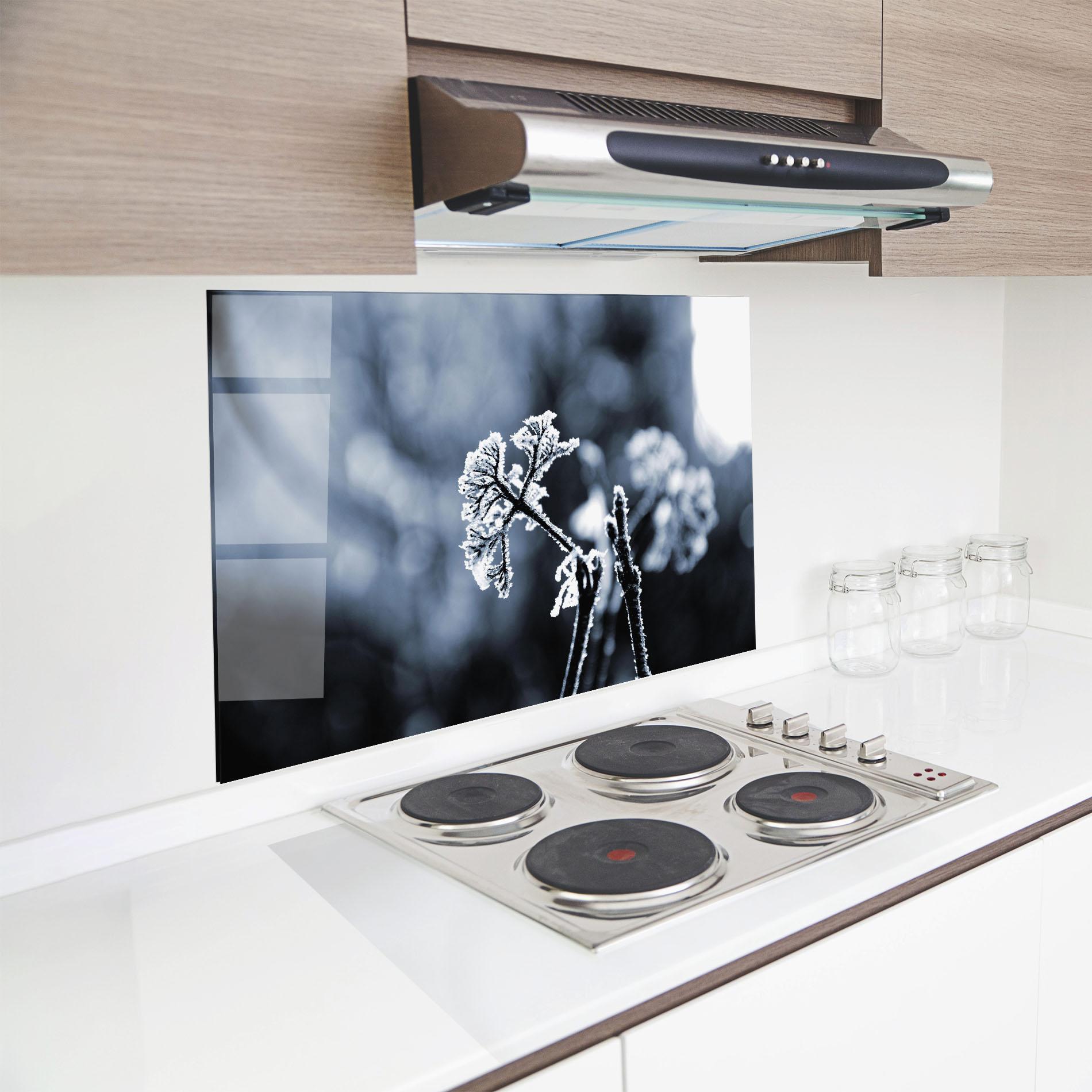 Küchenrückwand Glas Winter Plant mockup 8