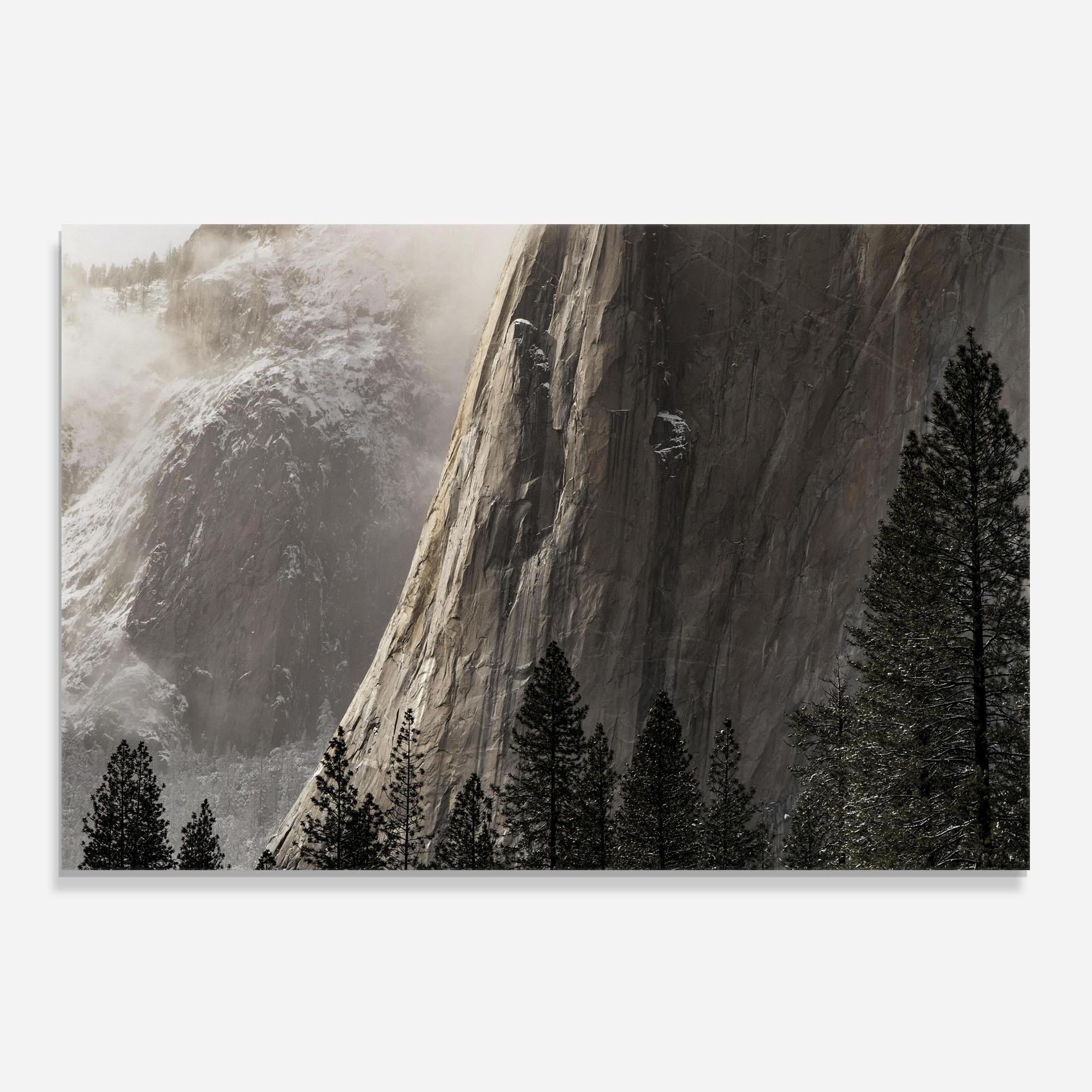 Küchenrückwand Glas Green Tree Mountain mockup 0