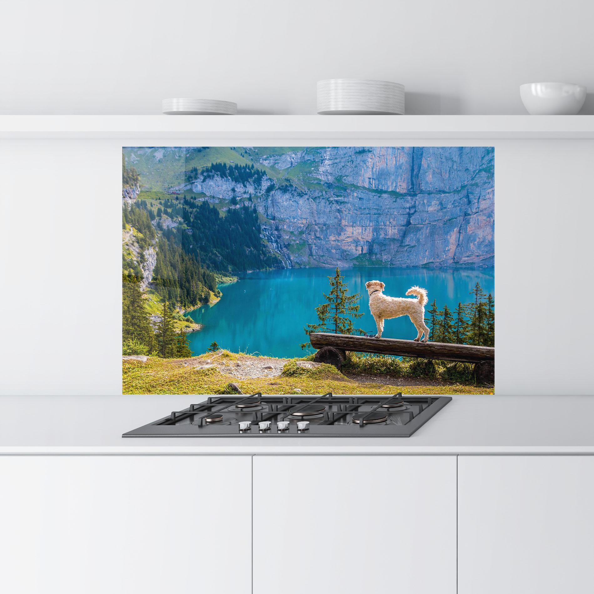 Küchenrückwand Glas Dog mockup 9
