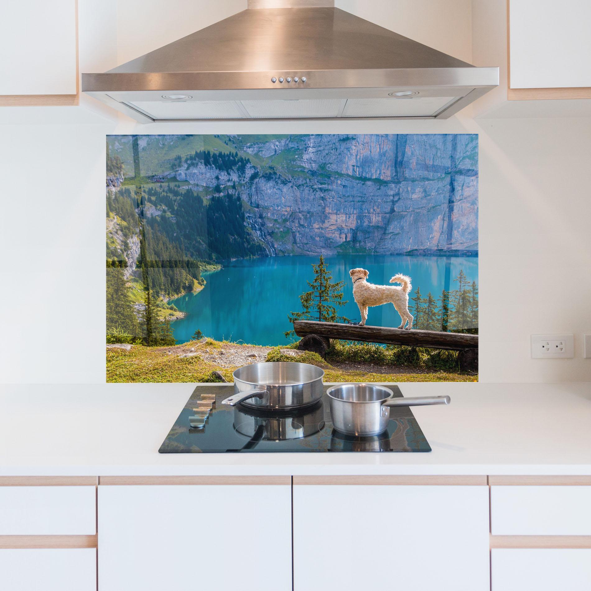 Küchenrückwand Glas Dog mockup 5