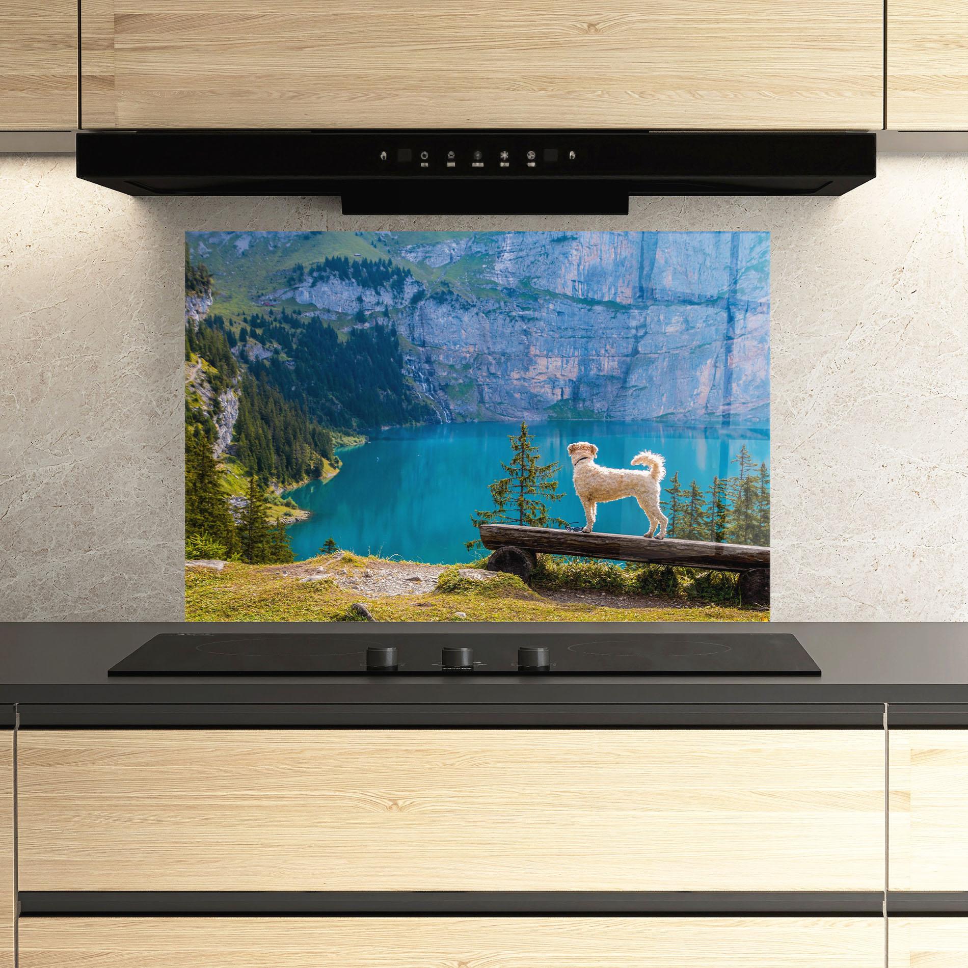 Küchenrückwand Glas Dog mockup 3